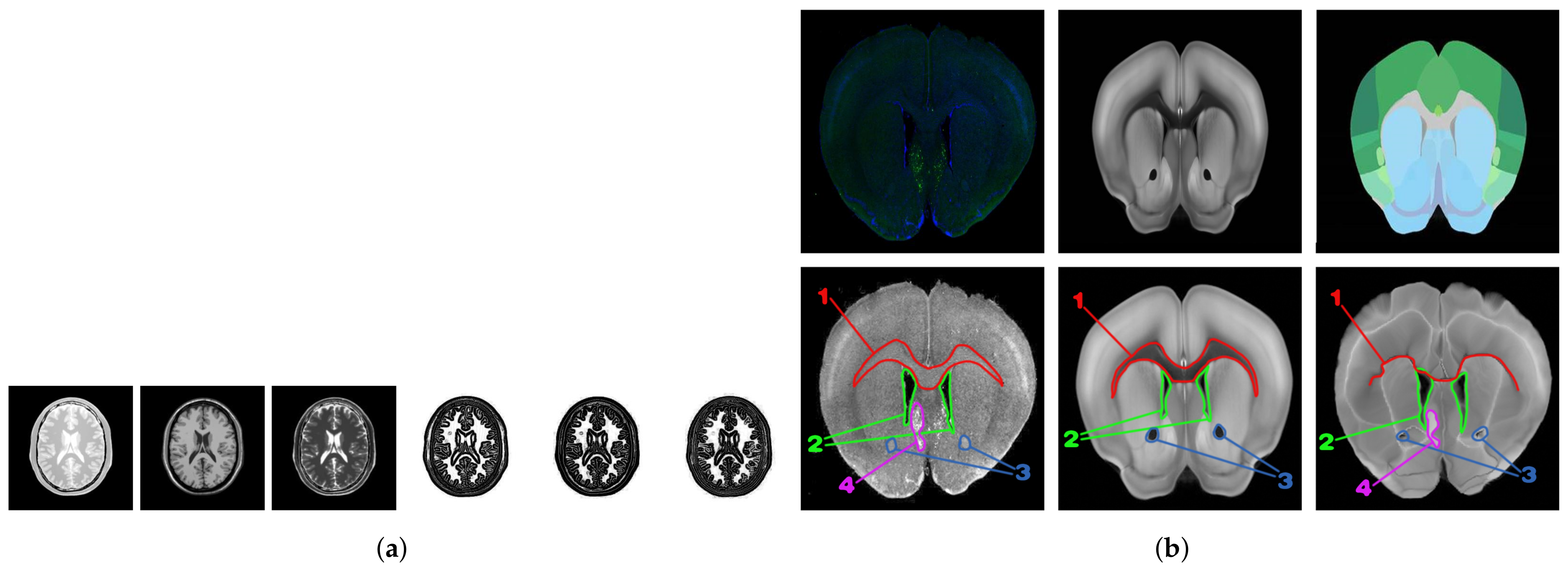 Symmetry 13 00929 g001