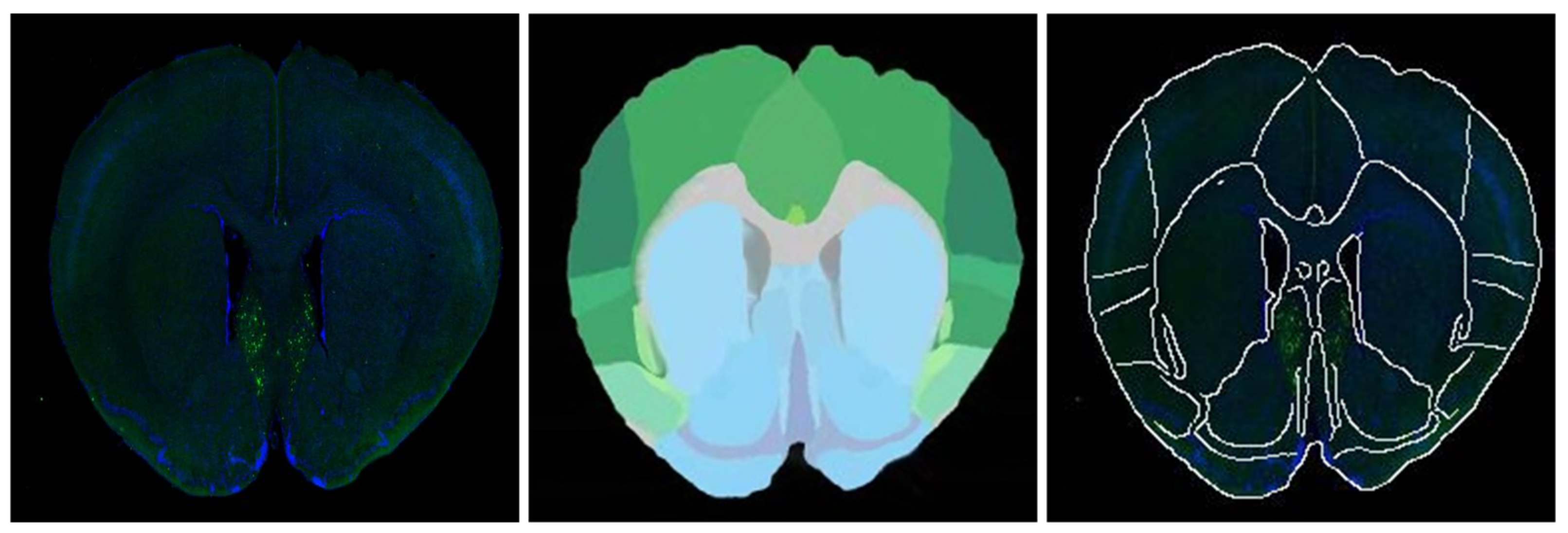 Symmetry 13 00929 g005