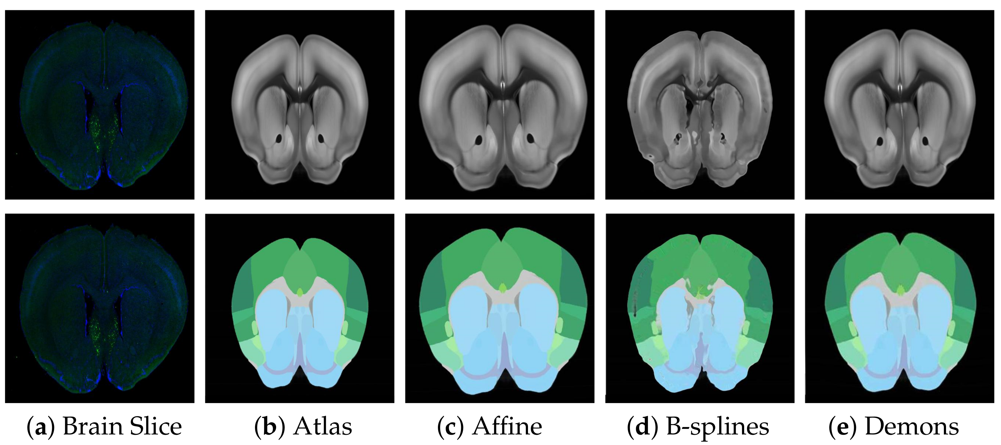 Symmetry 13 00929 g006