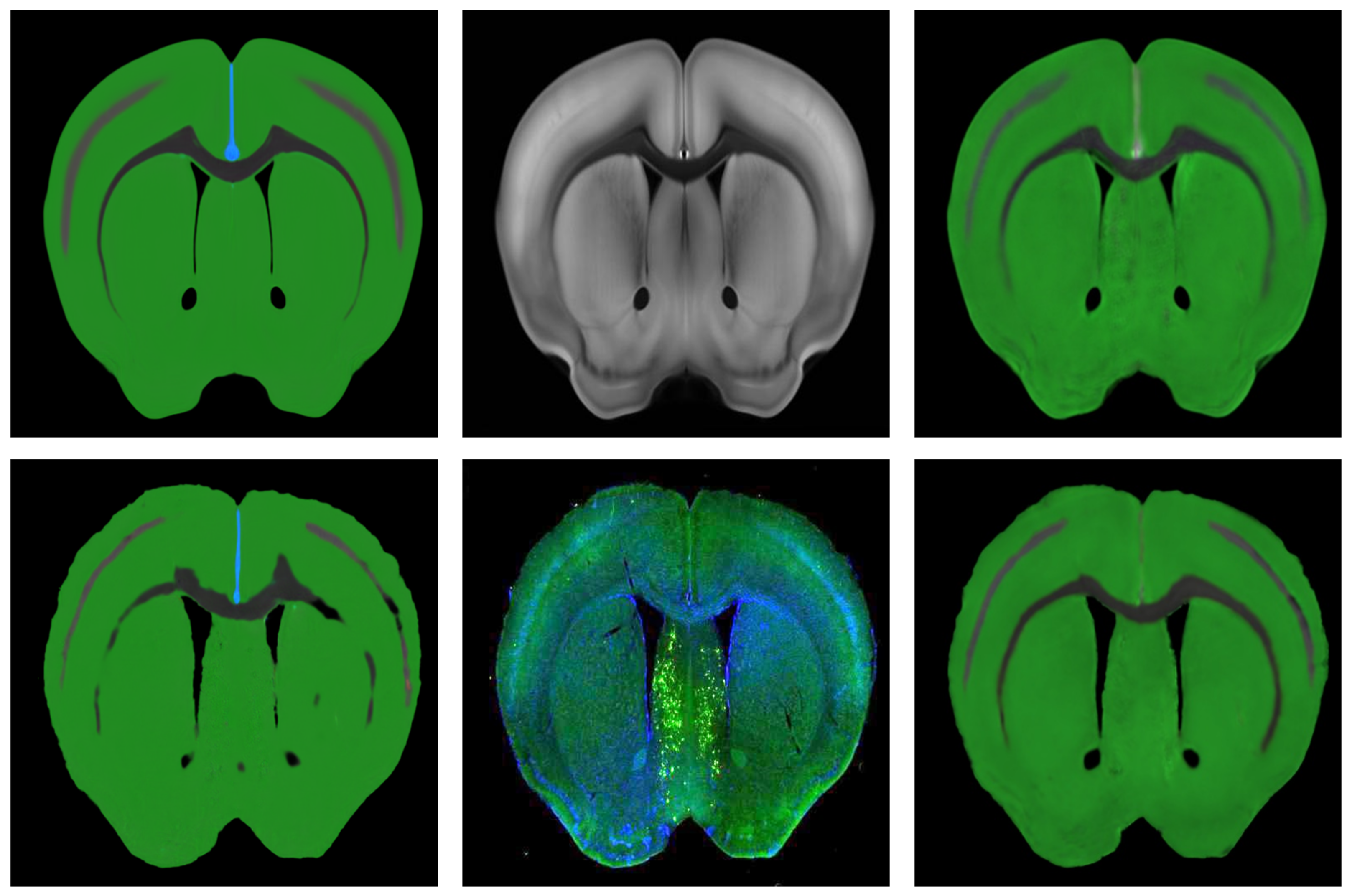 Symmetry 13 00929 g007
