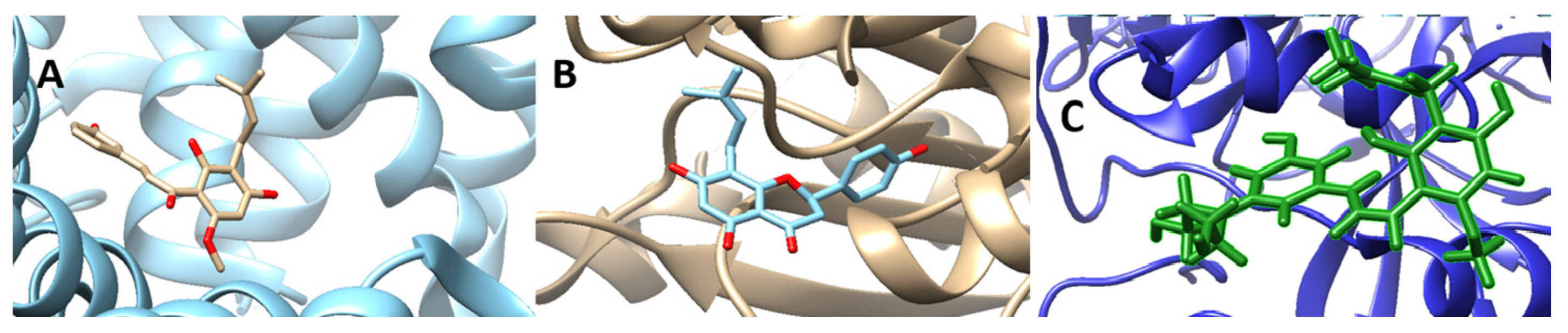 Symmetry 13 00948 g003 Symmetry 13 00948 g003