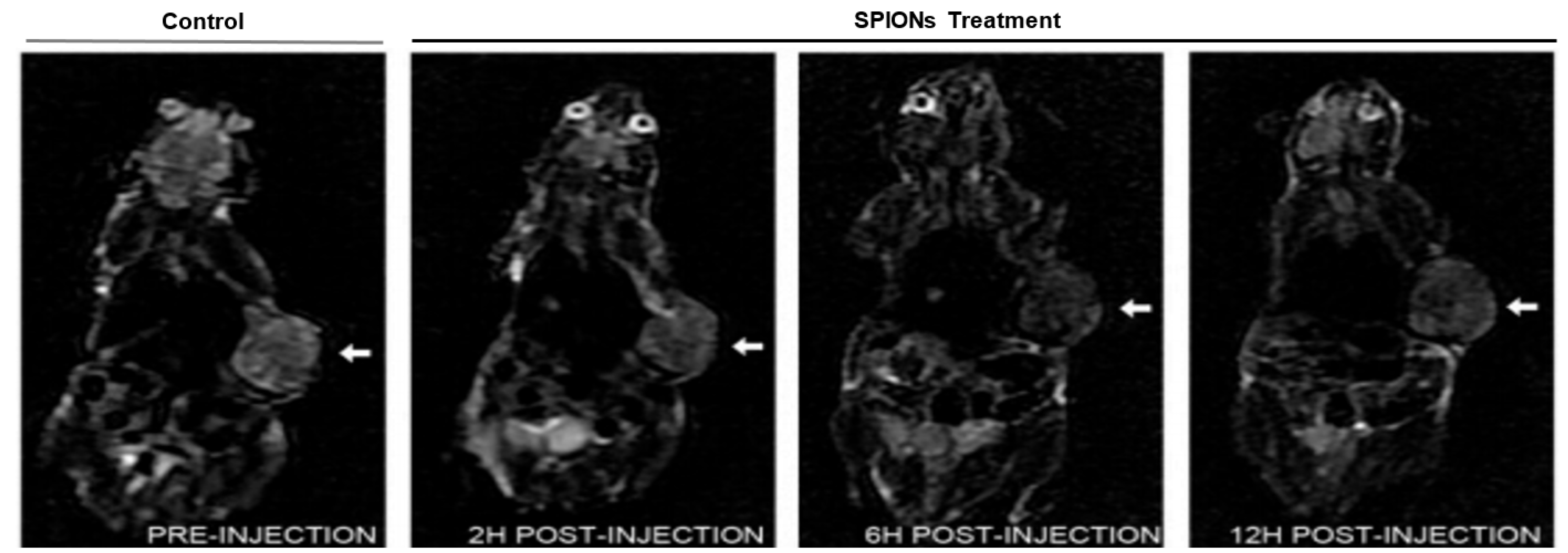 Symmetry 13 00974 g002