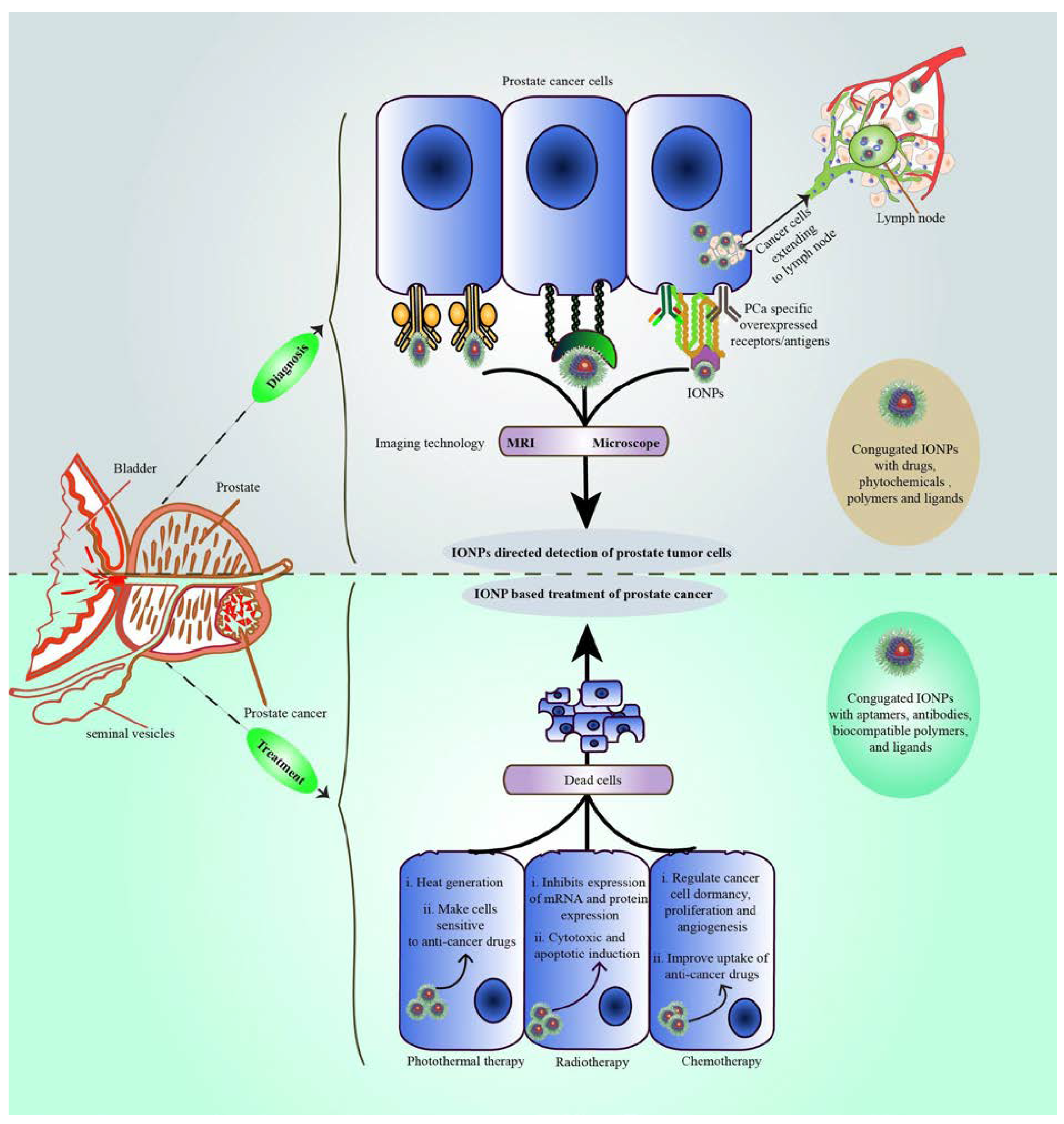 Symmetry 13 00974 g003