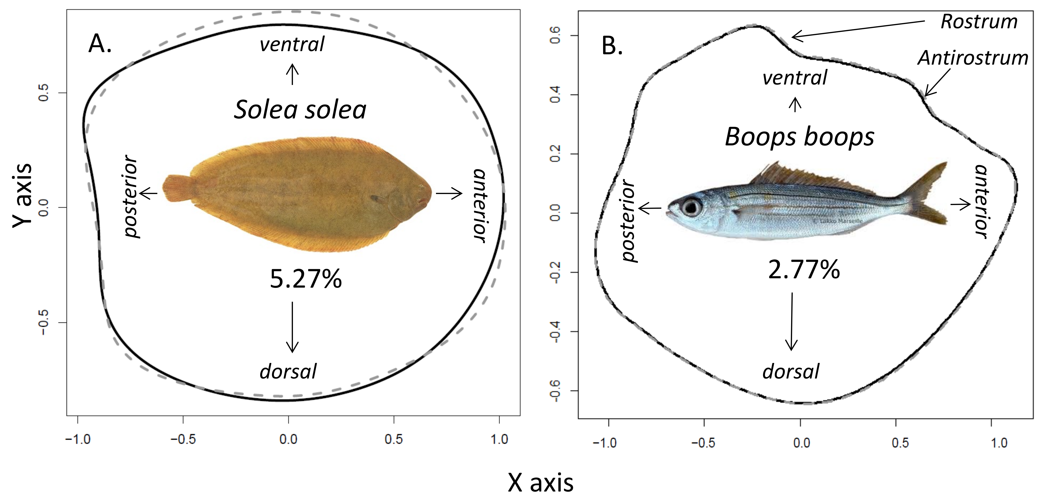 Symmetry 13 00987 g003
