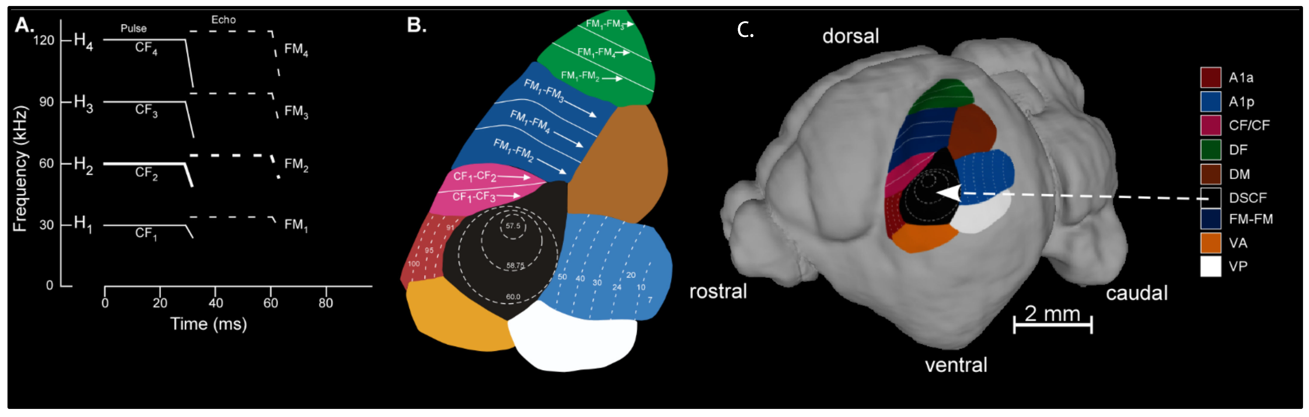 Symmetry 13 01037 g001 Symmetry 13 01037 g001
