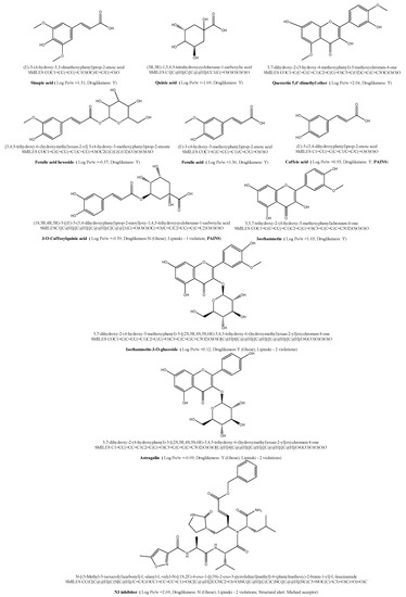 Symmetry 13 01041 g002