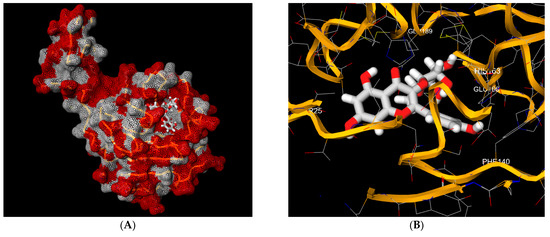 Symmetry 13 01041 g003a Symmetry 13 01041 g003a