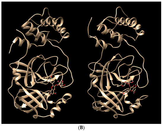 Symmetry 13 01041 g005b