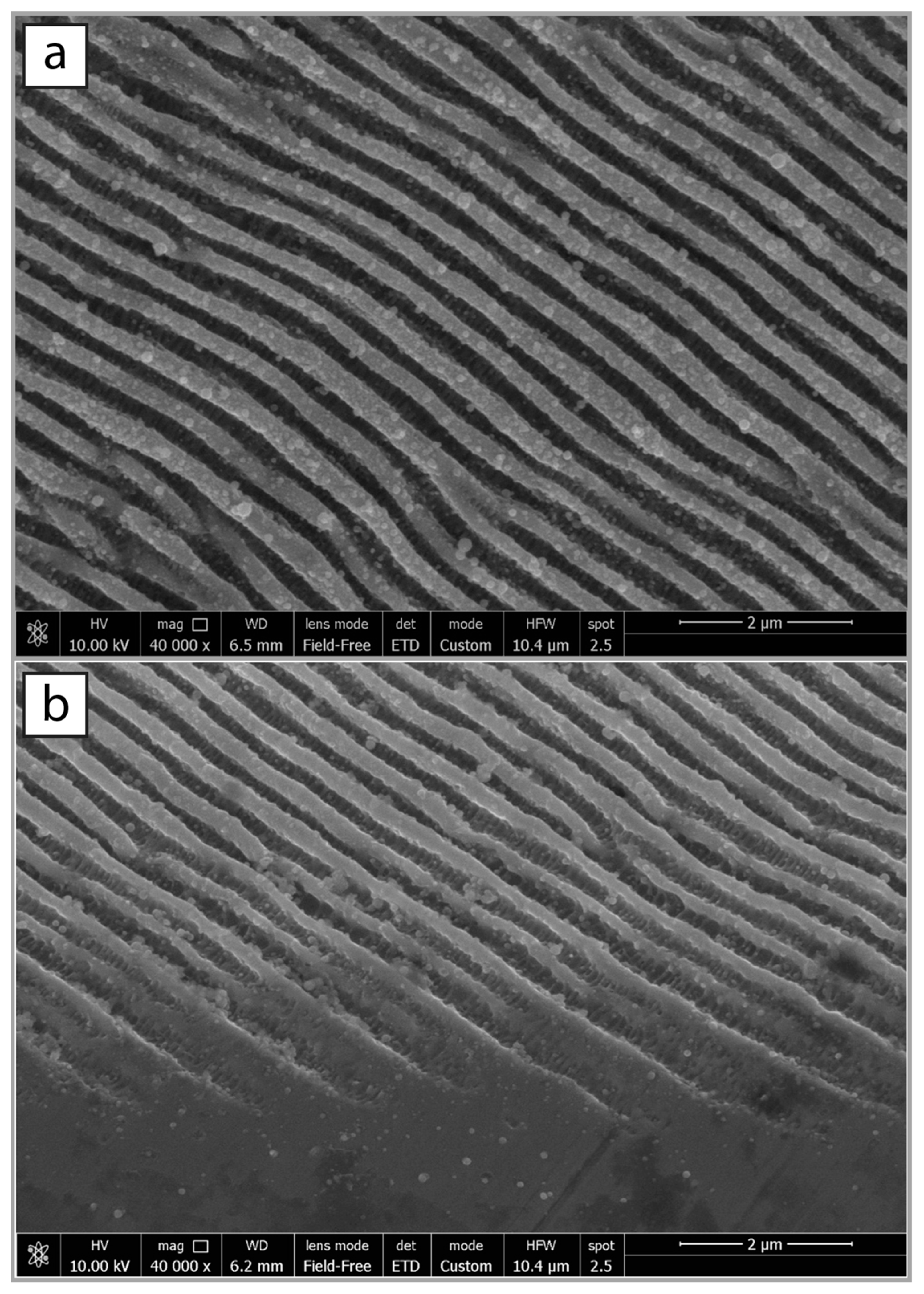 Symmetry 13 01049 g004