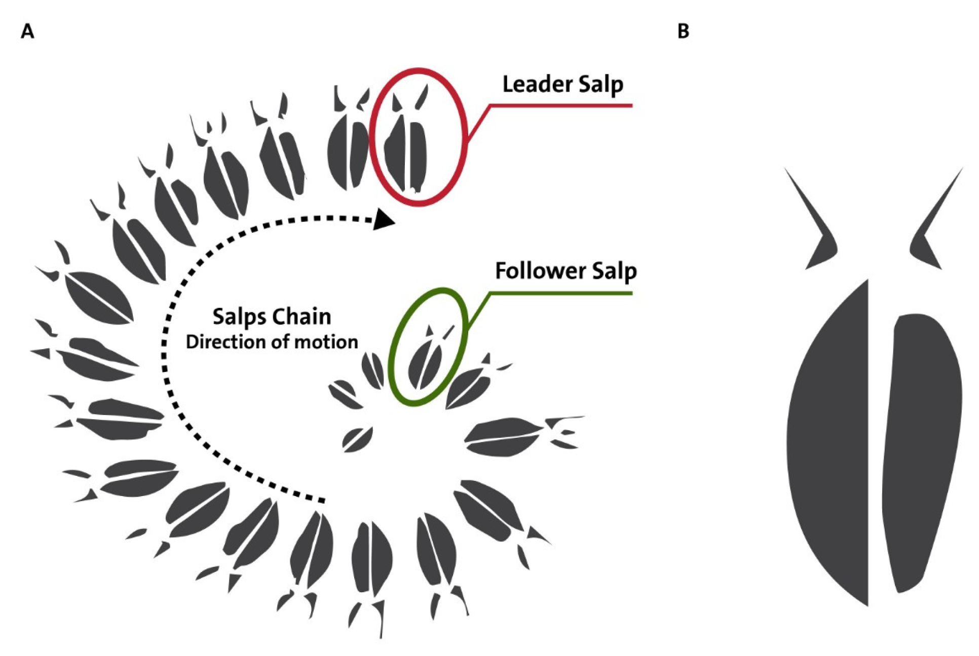 Symmetry 13 01091 g002