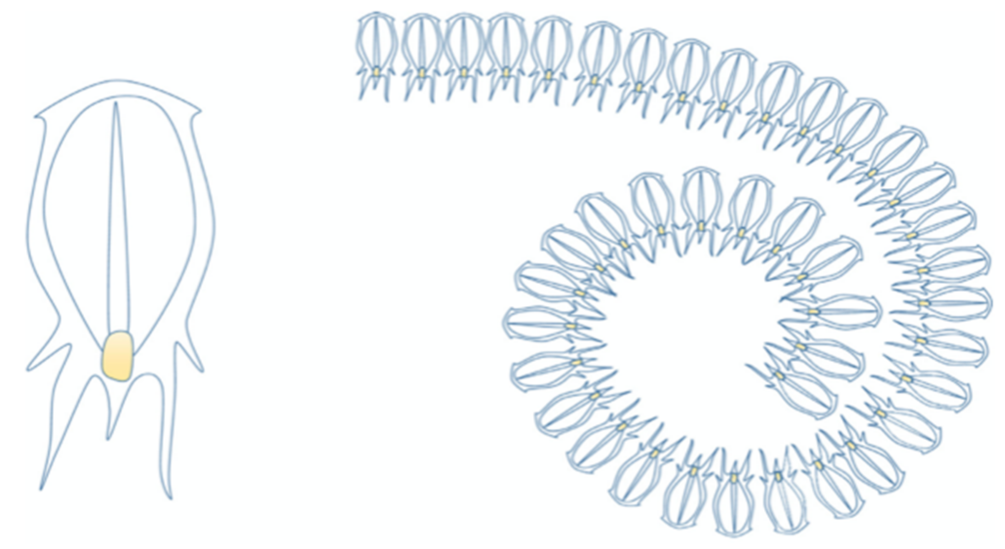 Symmetry 13 01092 g001