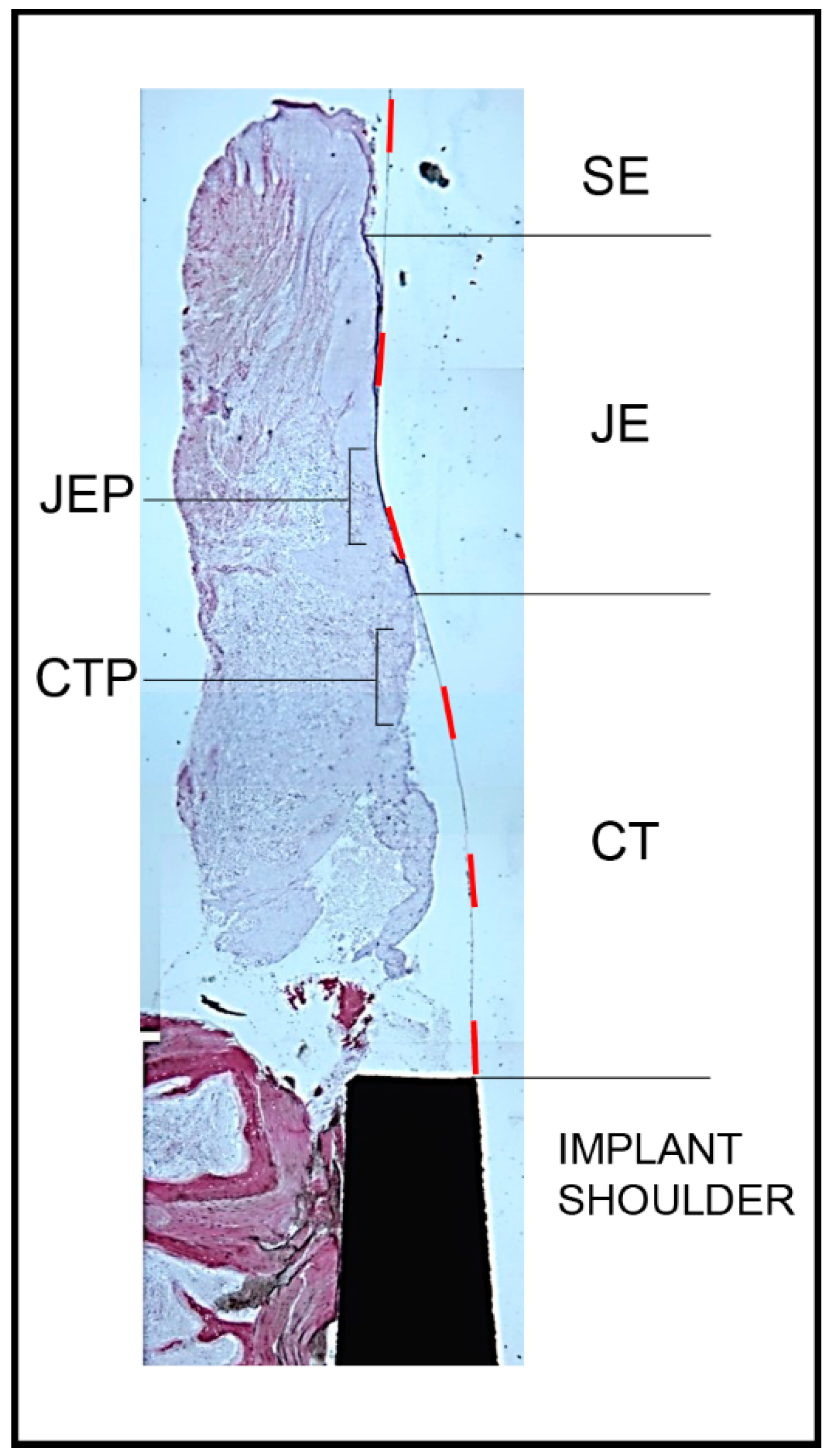 Symmetry 13 01126 g001