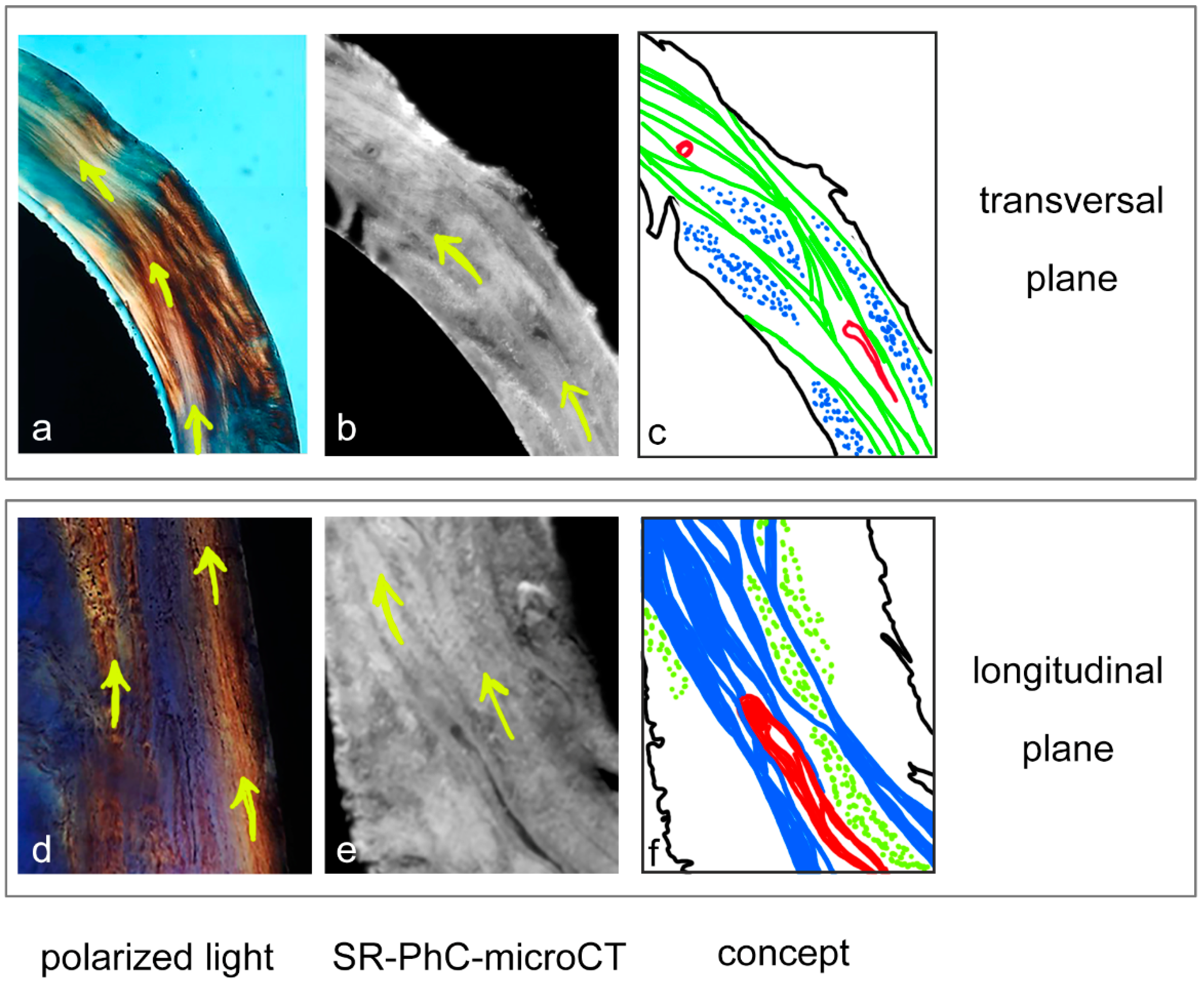 Symmetry 13 01126 g002