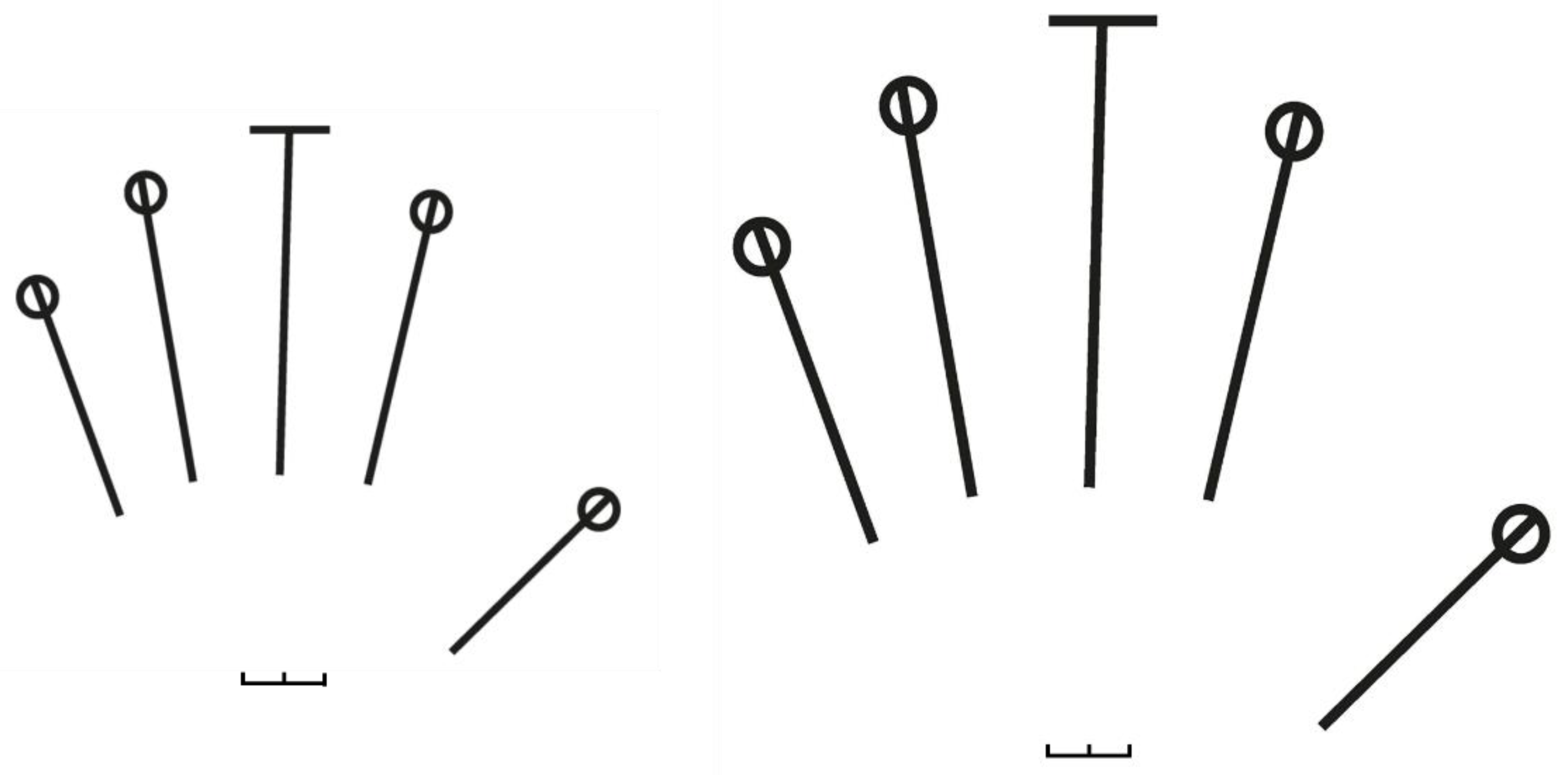 Symmetry 13 01142 g002