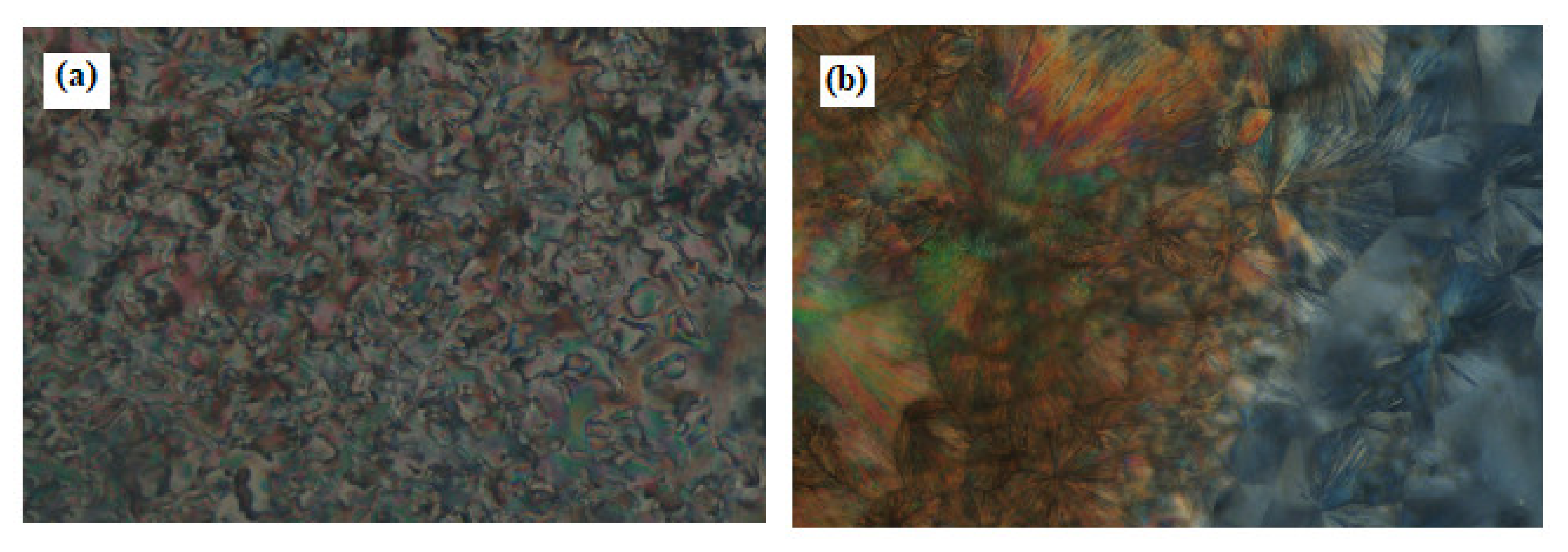 Symmetry 13 01145 g002