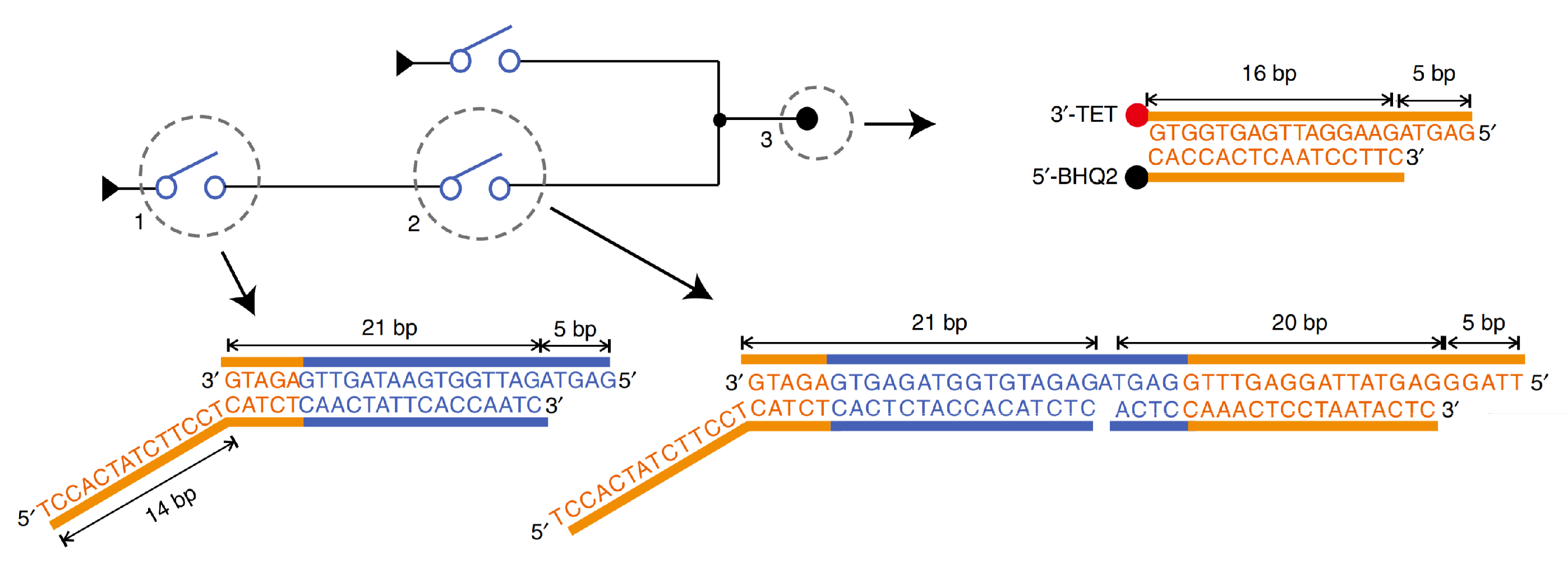 Symmetry 13 01242 g002