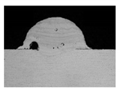 Symmetry 13 01245 i022