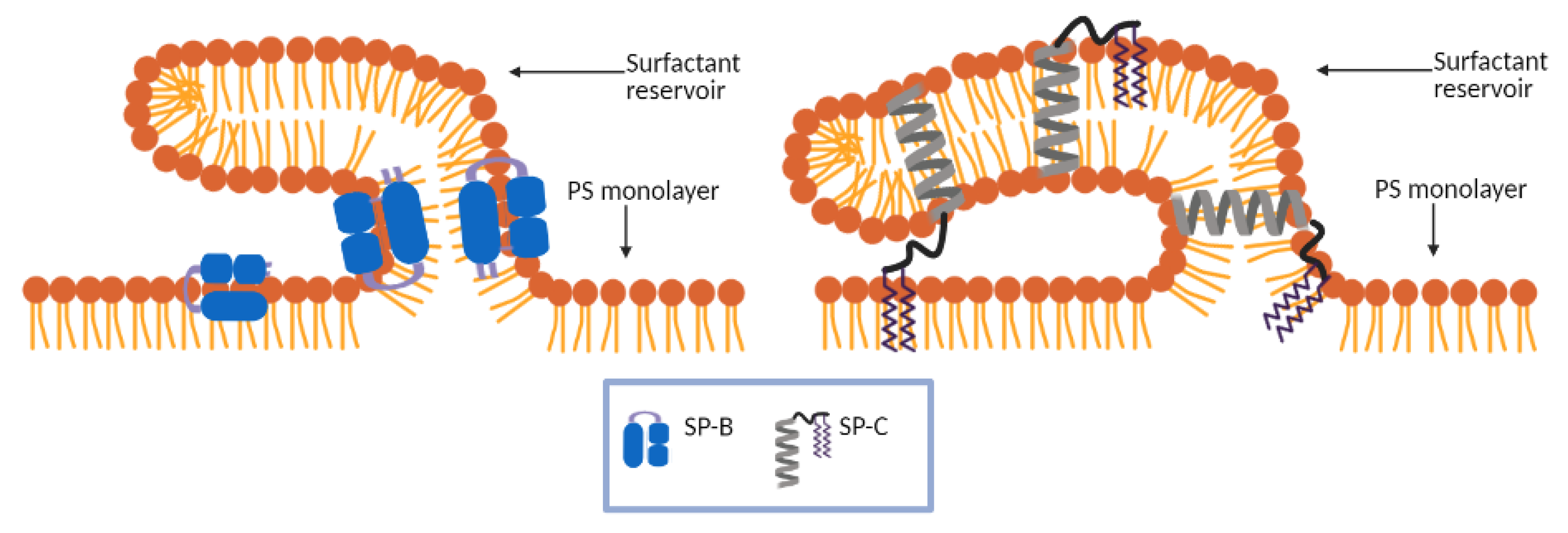 Symmetry 13 01259 g002