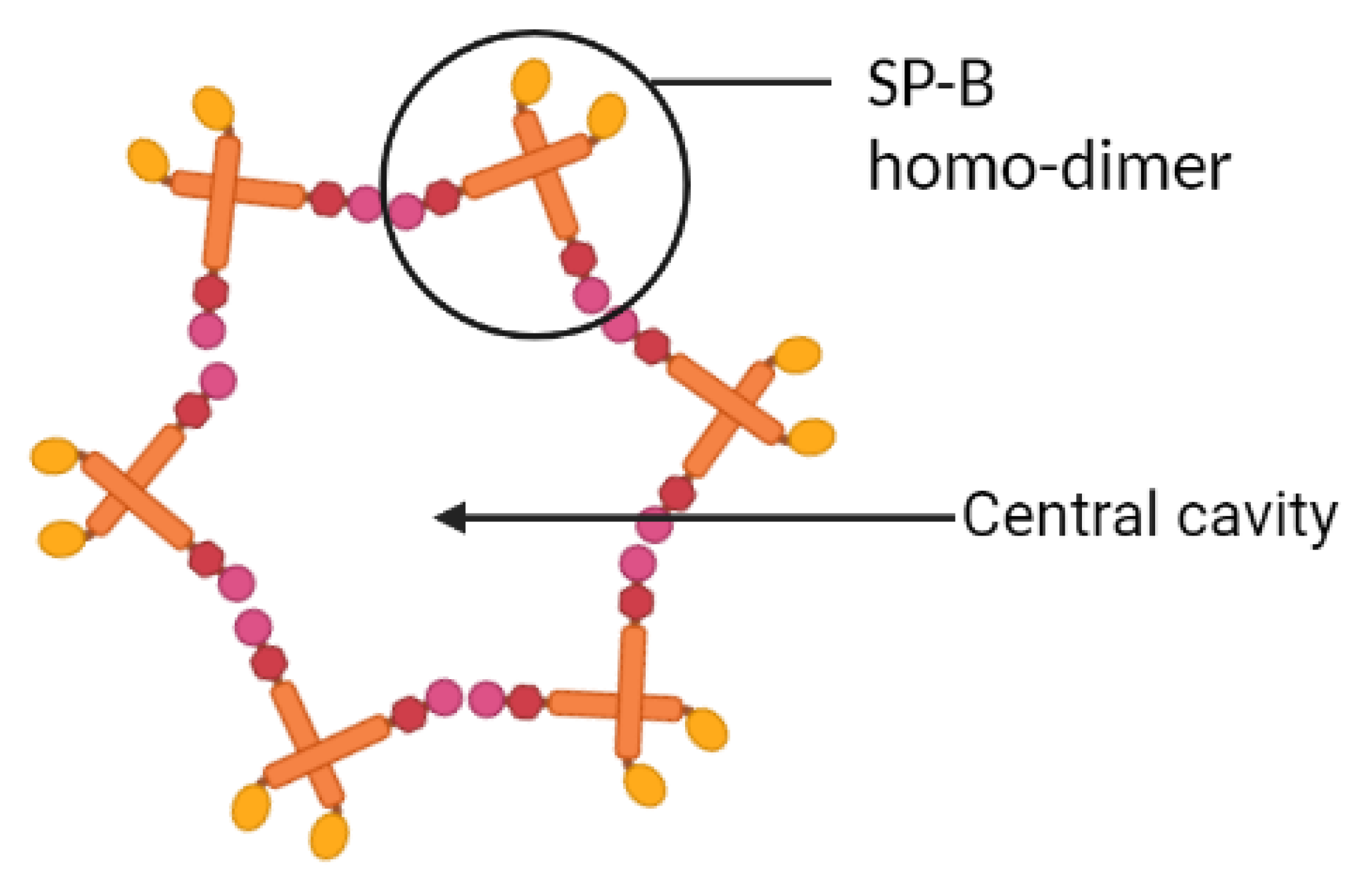 Symmetry 13 01259 g003