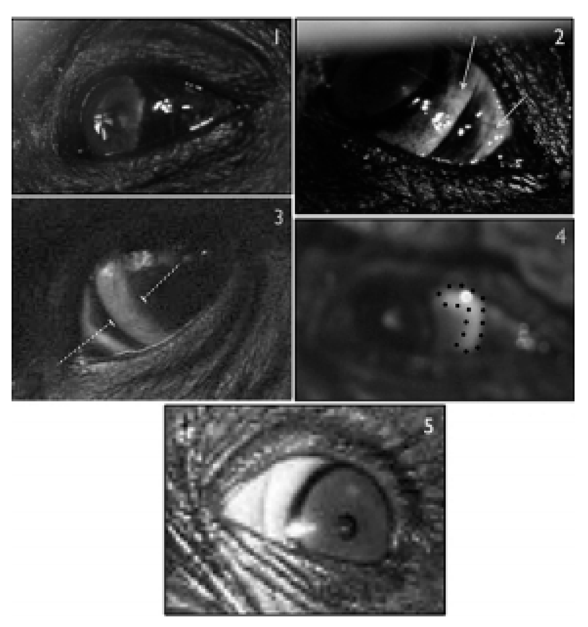 Symmetry 13 01270 g001