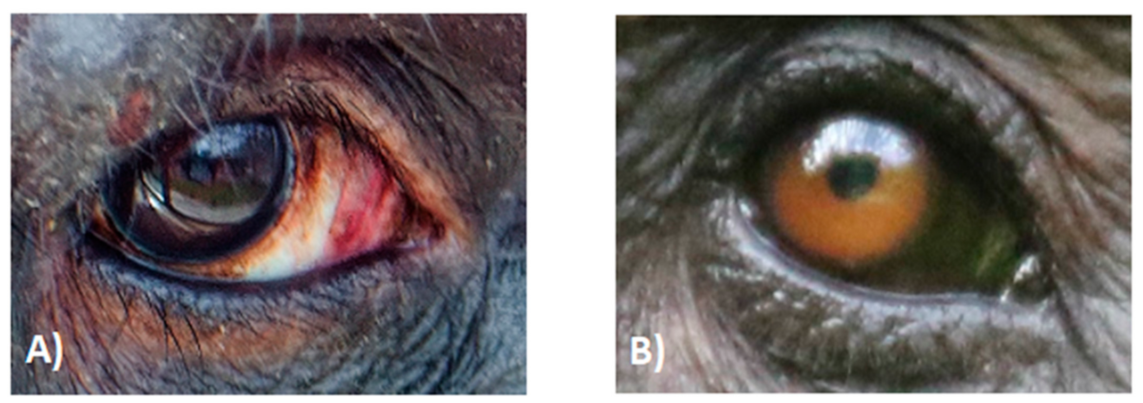 Symmetry 13 01270 g002