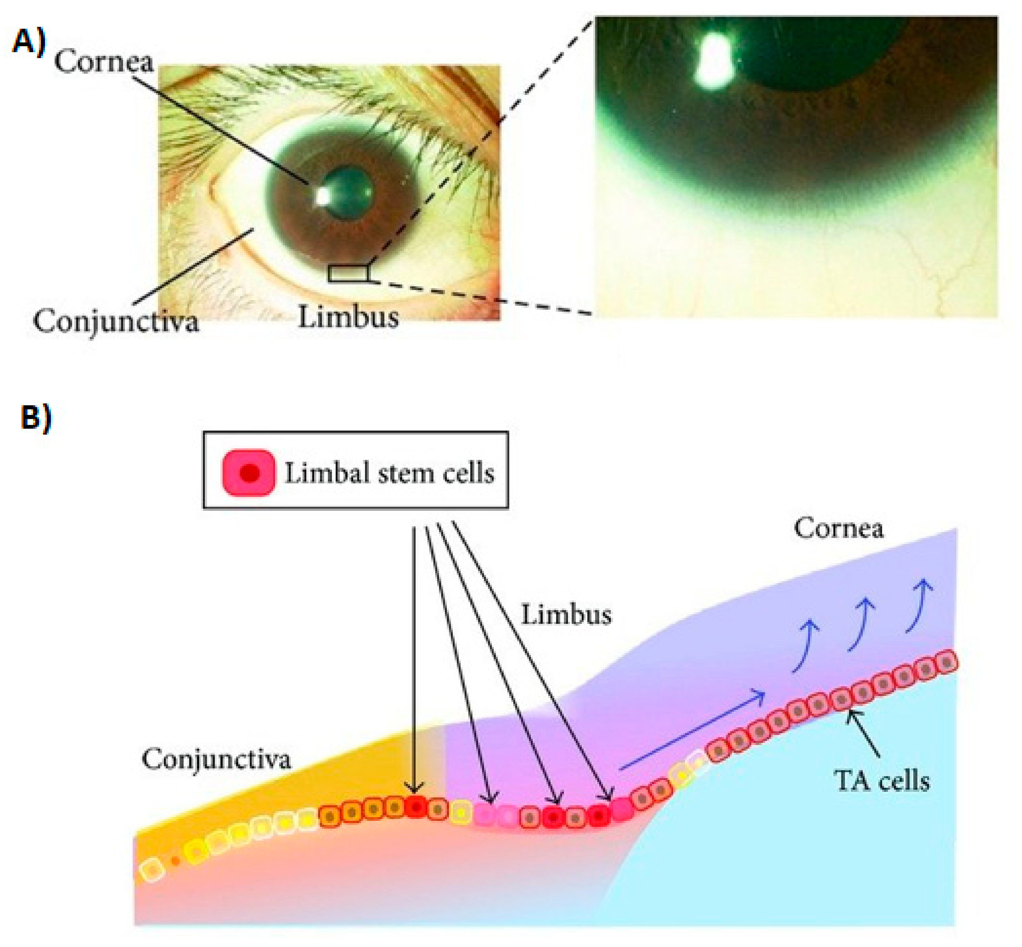 Symmetry 13 01270 g004