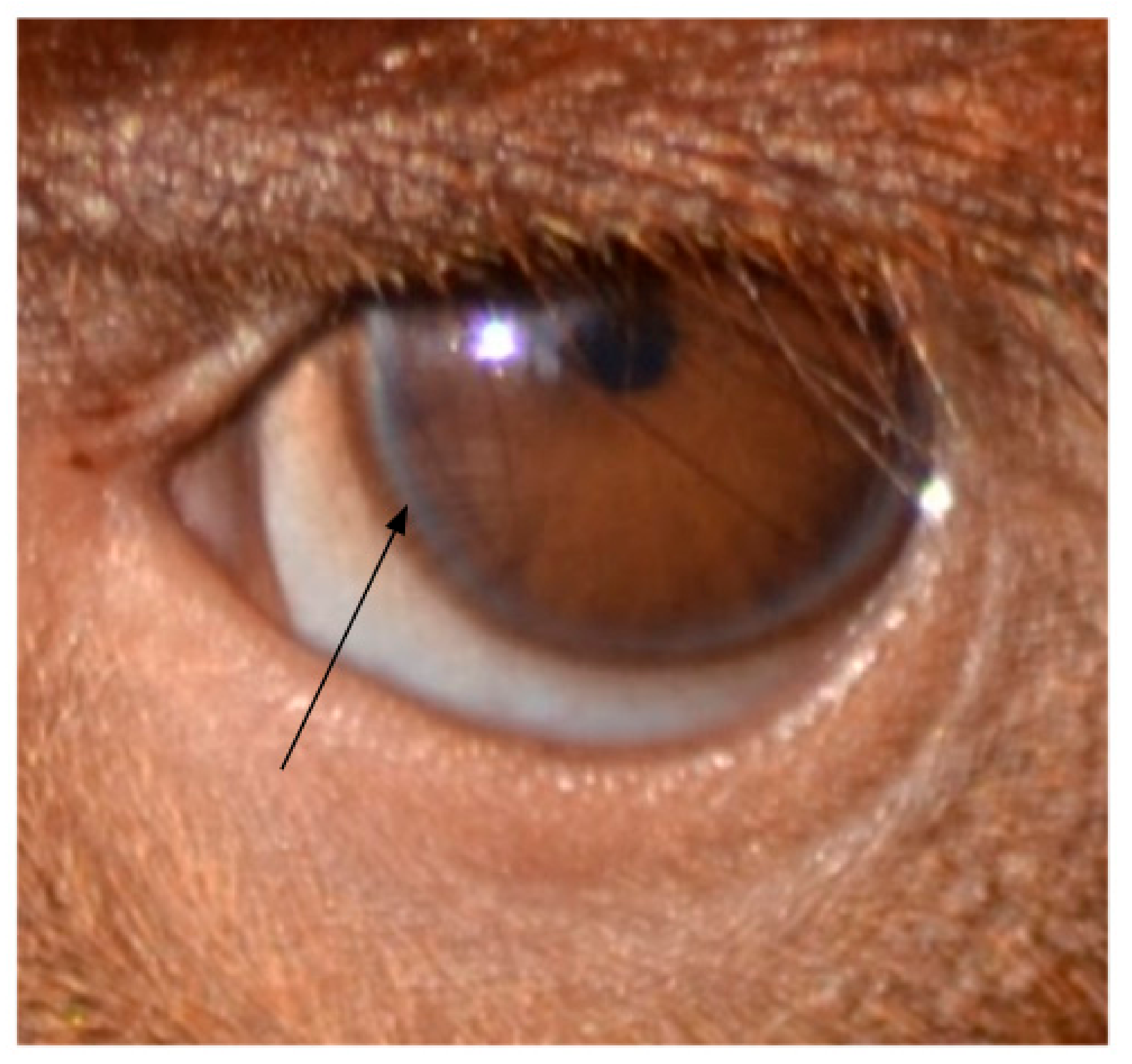 Symmetry 13 01270 g005