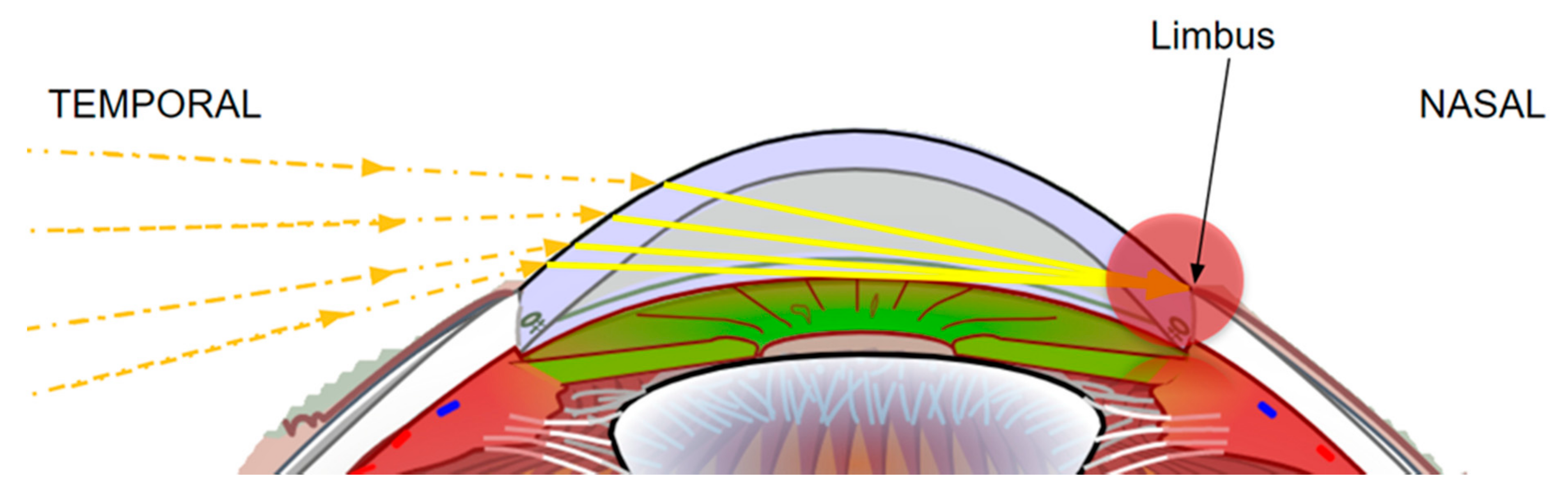 Symmetry 13 01270 g007