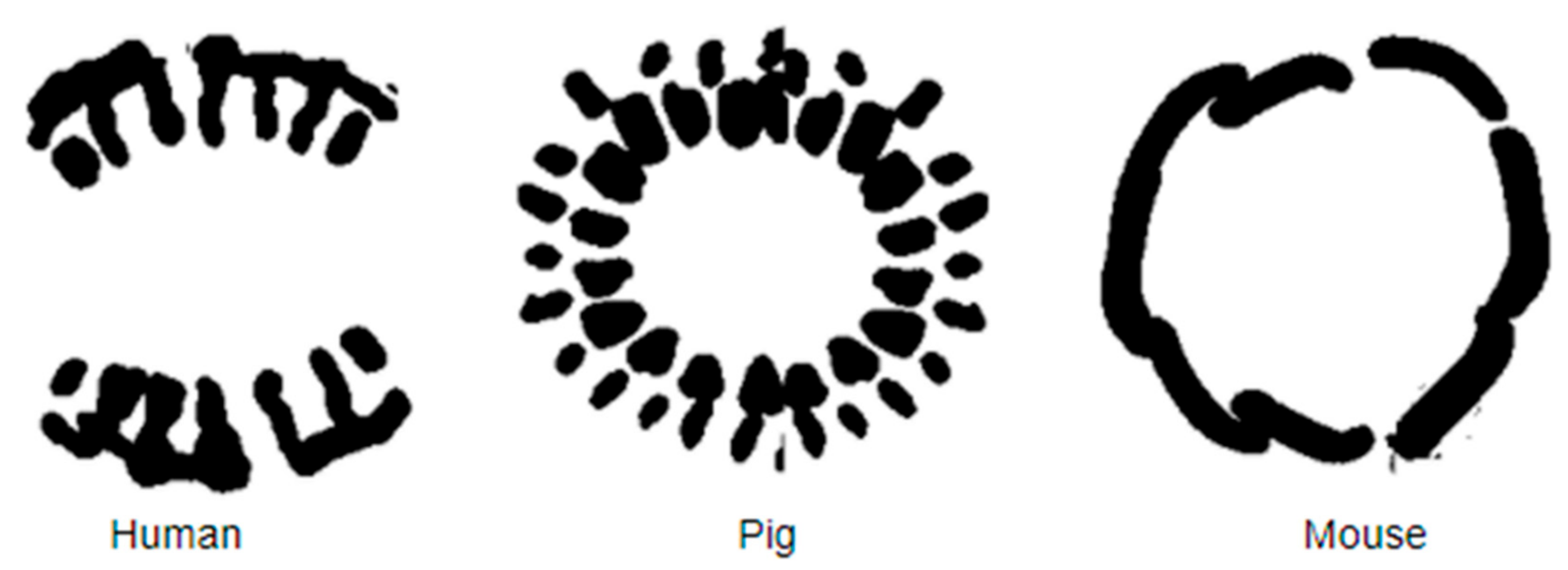 Symmetry 13 01270 g008