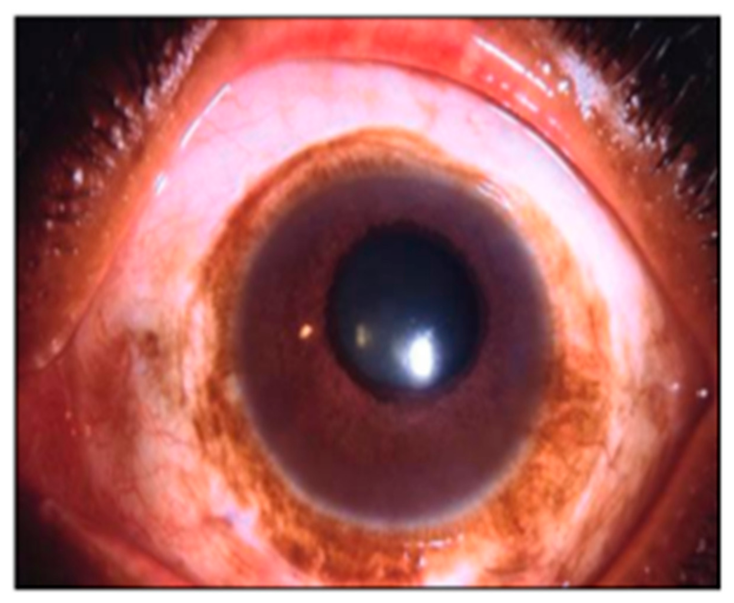 Symmetry 13 01270 g009