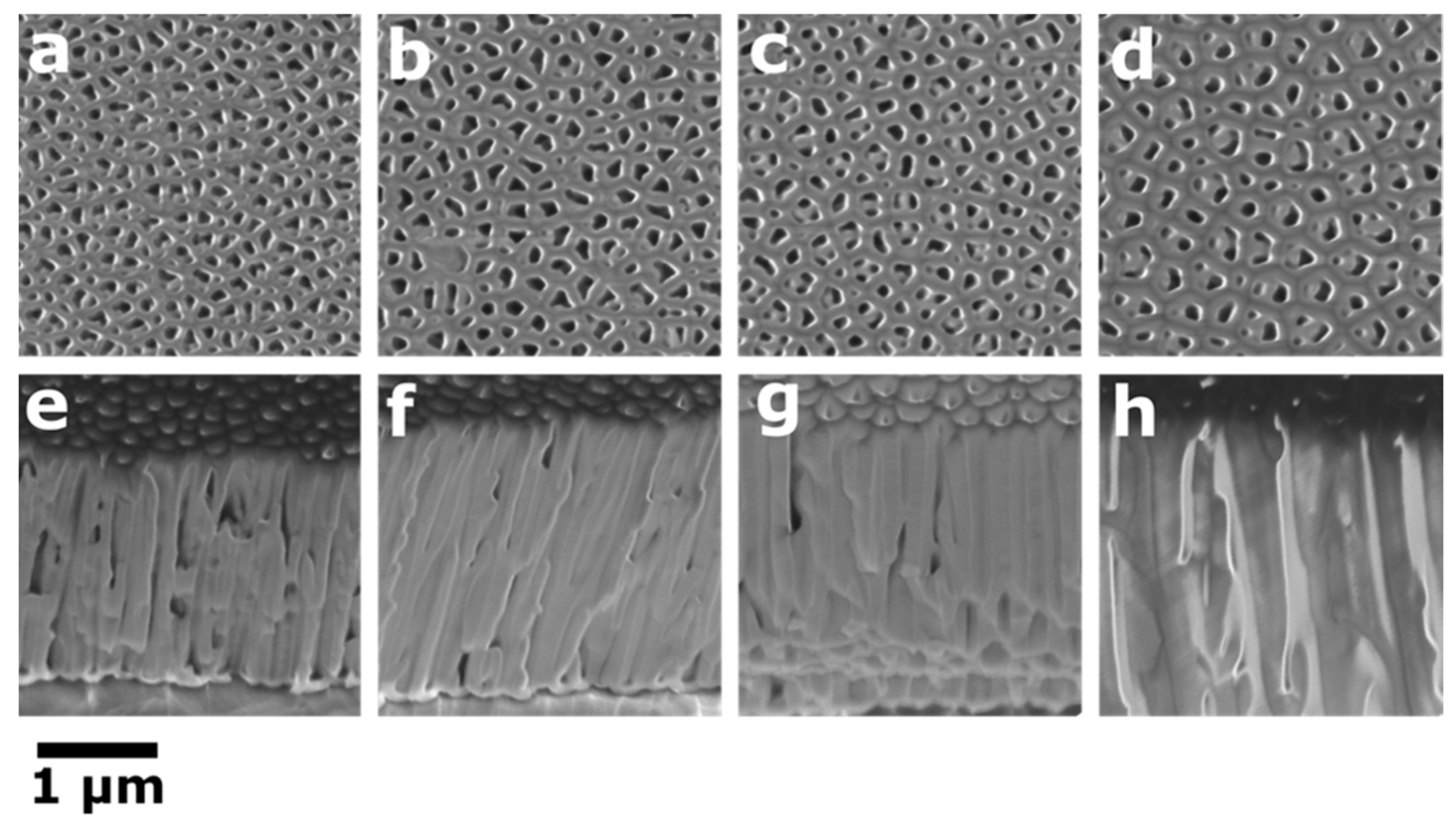 Symmetry 13 01456 g002