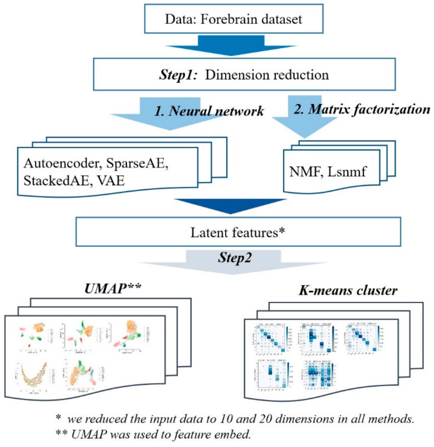 Symmetry 13 01467 g001