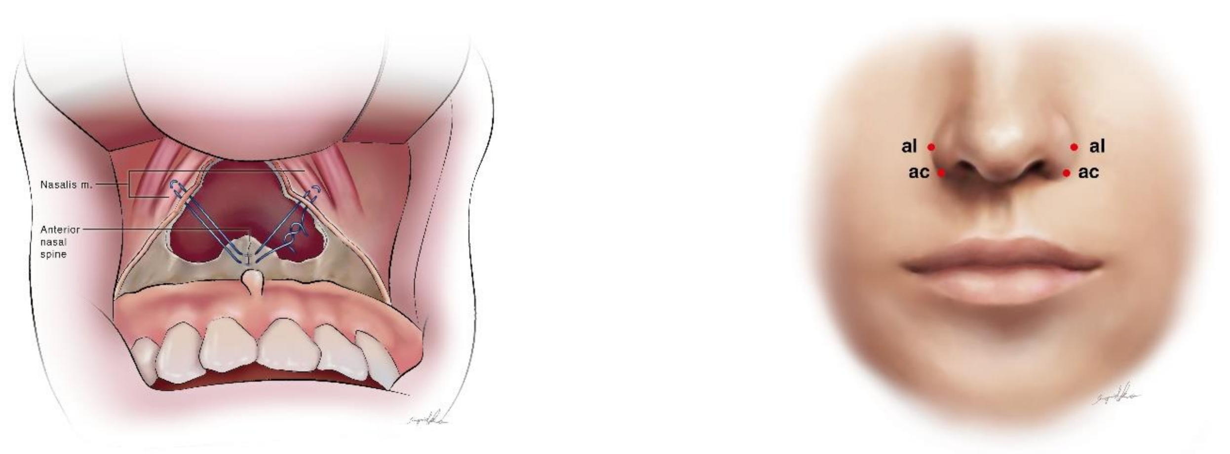 Symmetry 13 01495 g001