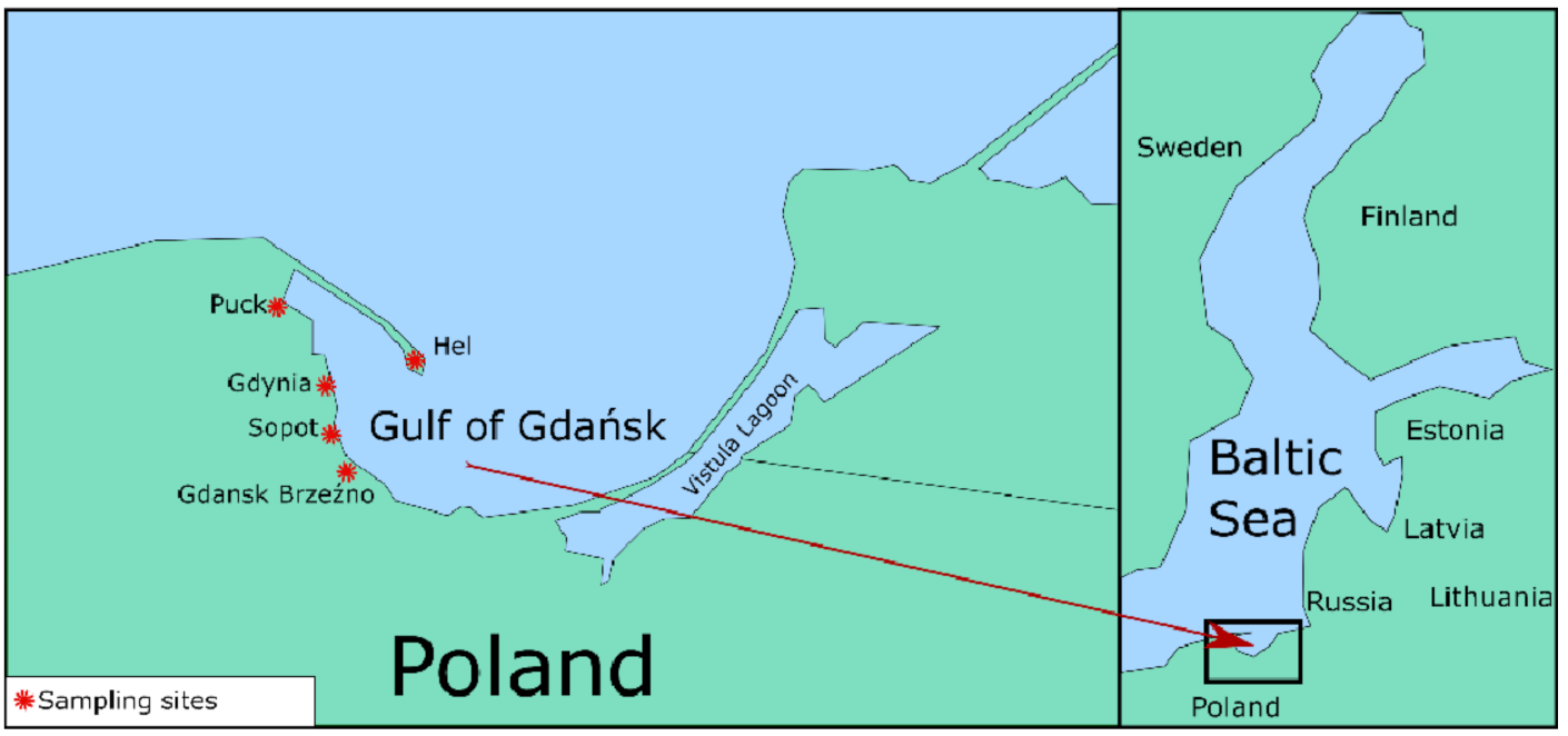 Symmetry 13 01522 g001