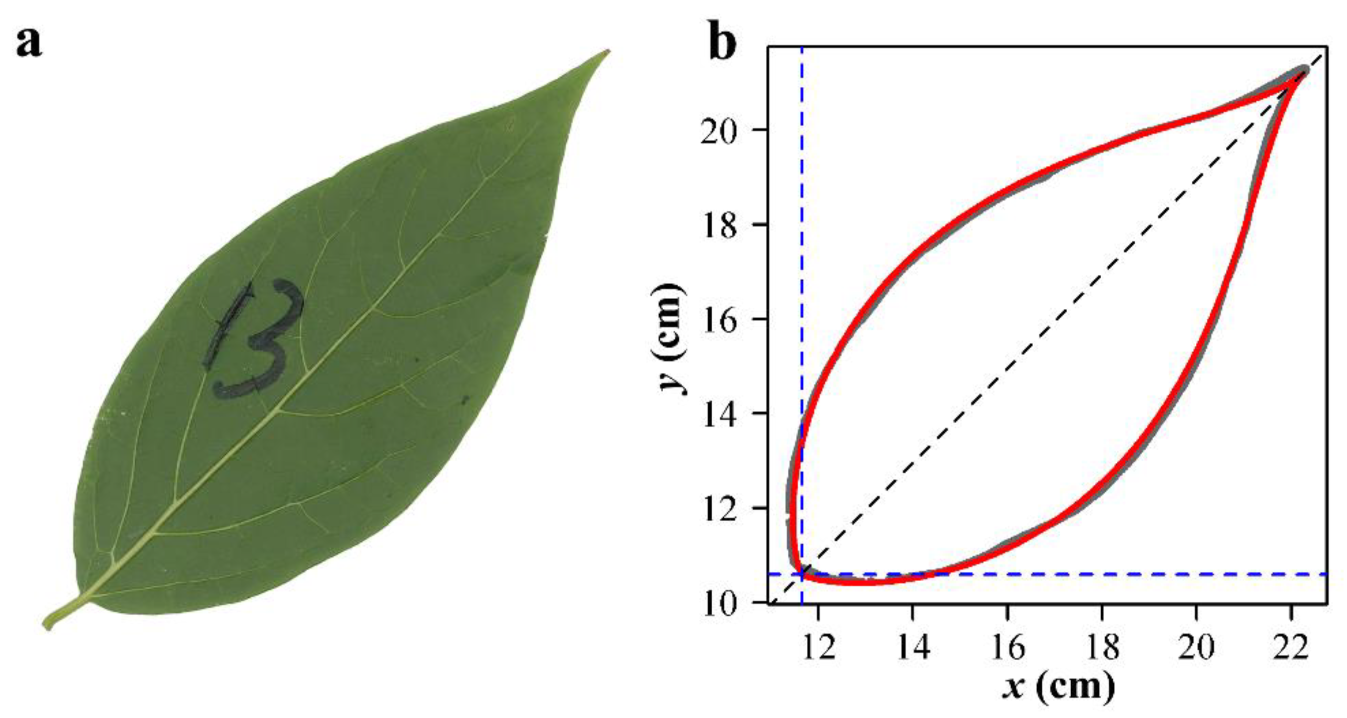 Symmetry 13 01524 g005