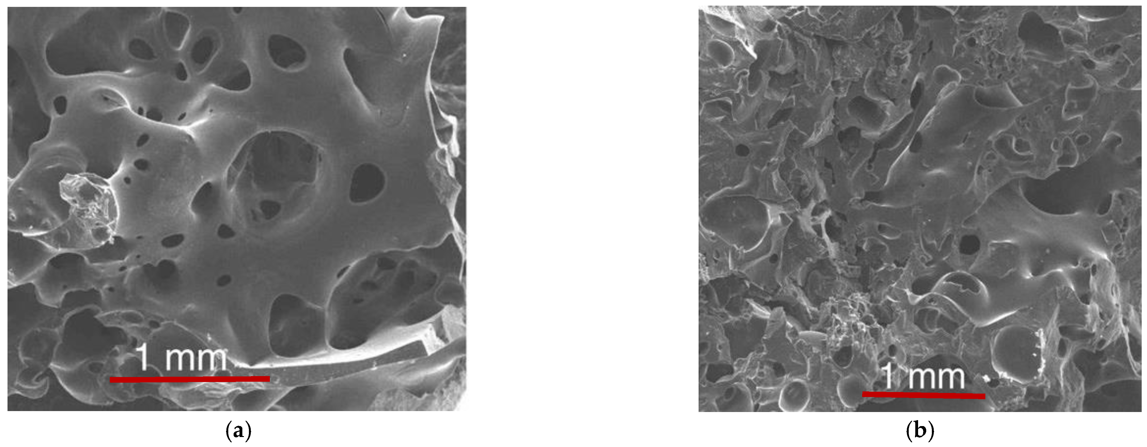 Symmetry 13 01532 g003