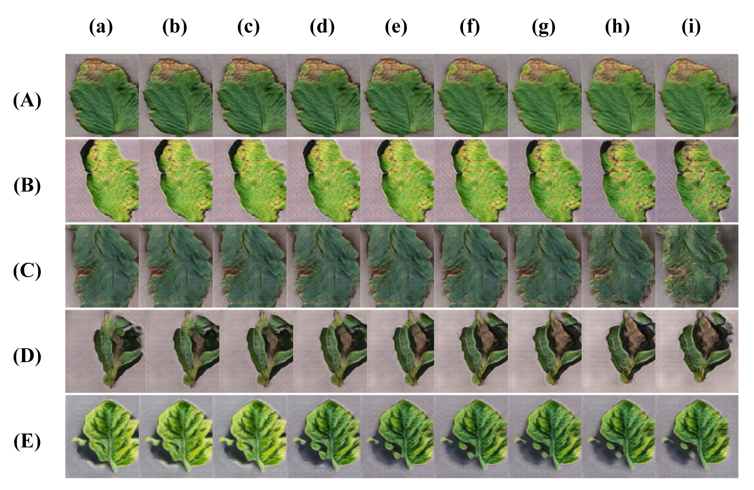 Symmetry 13 01597 g007