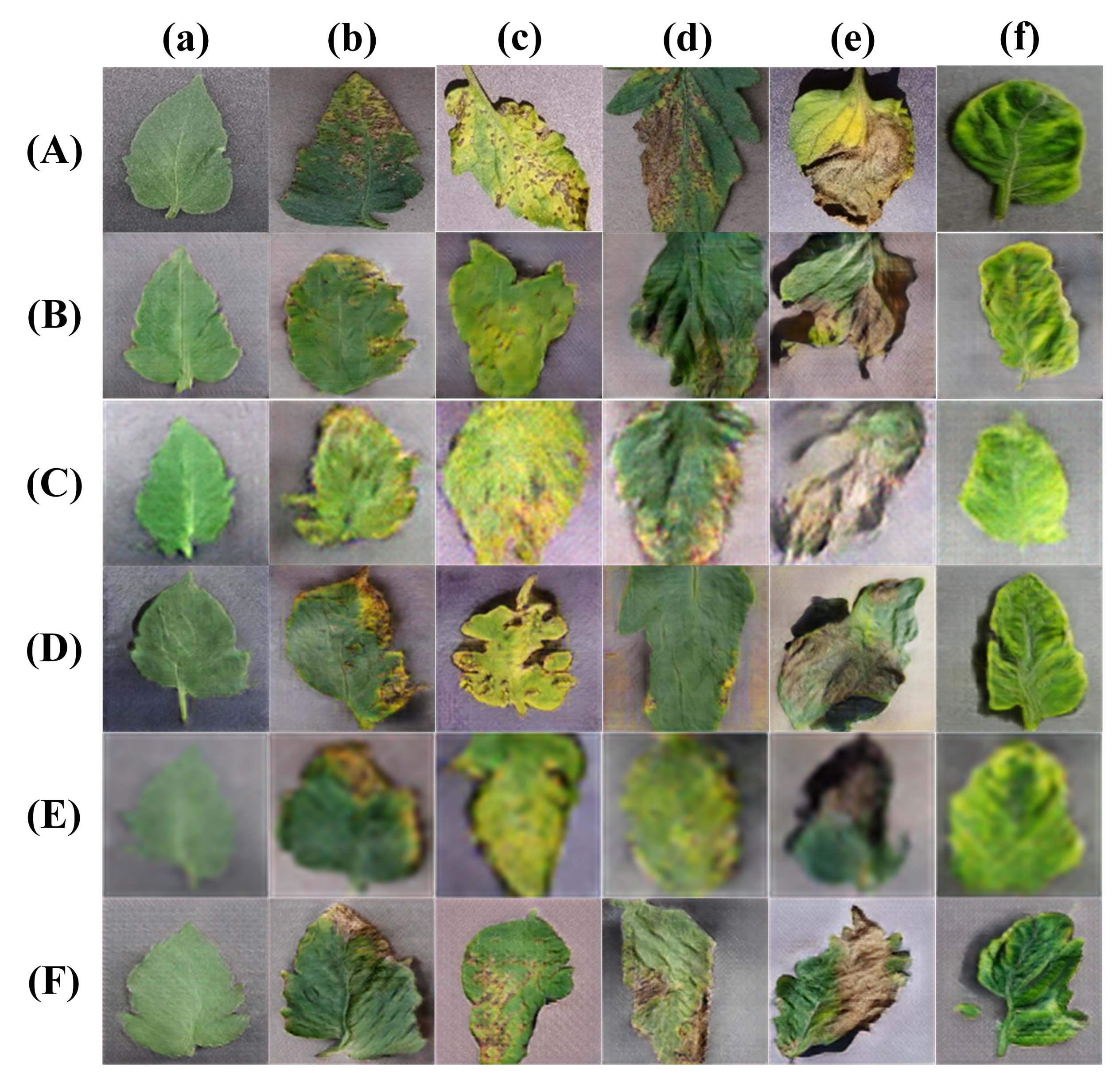 Symmetry 13 01597 g009