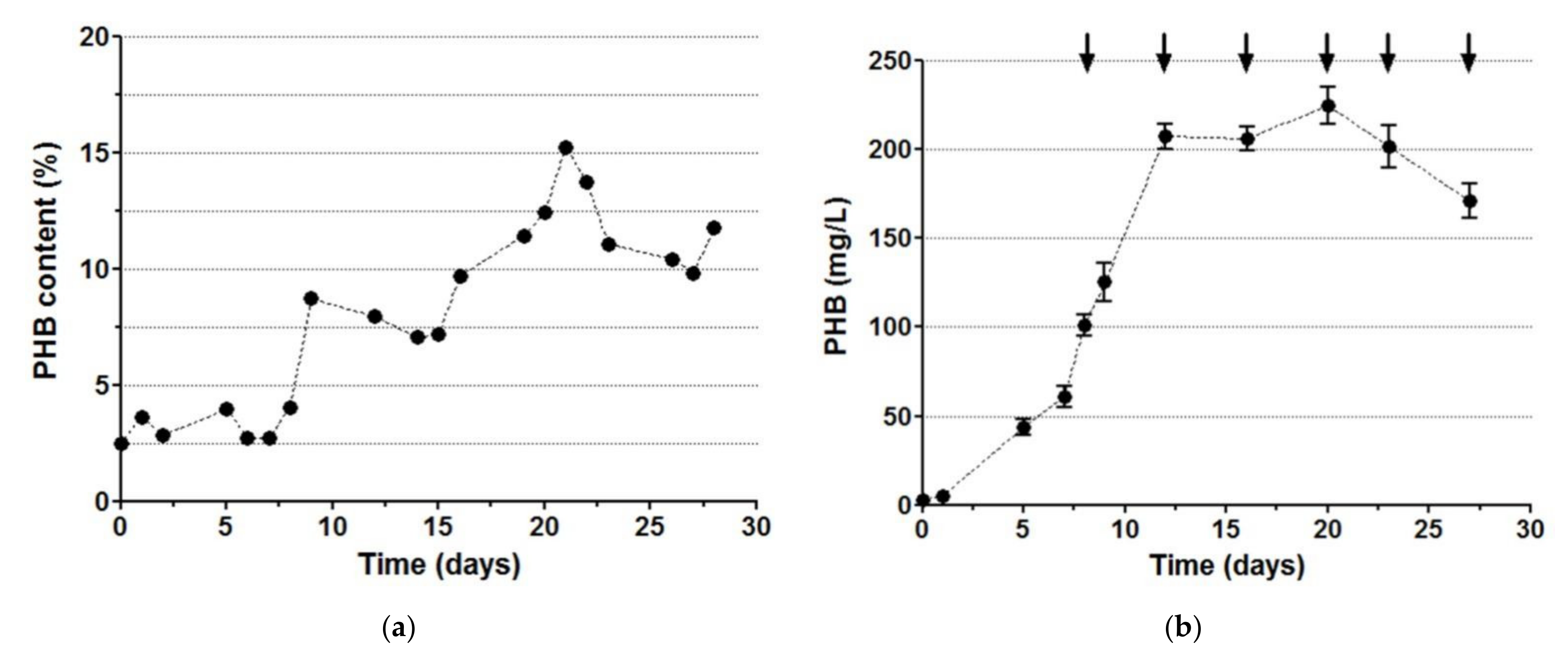 Symmetry 13 01609 g004