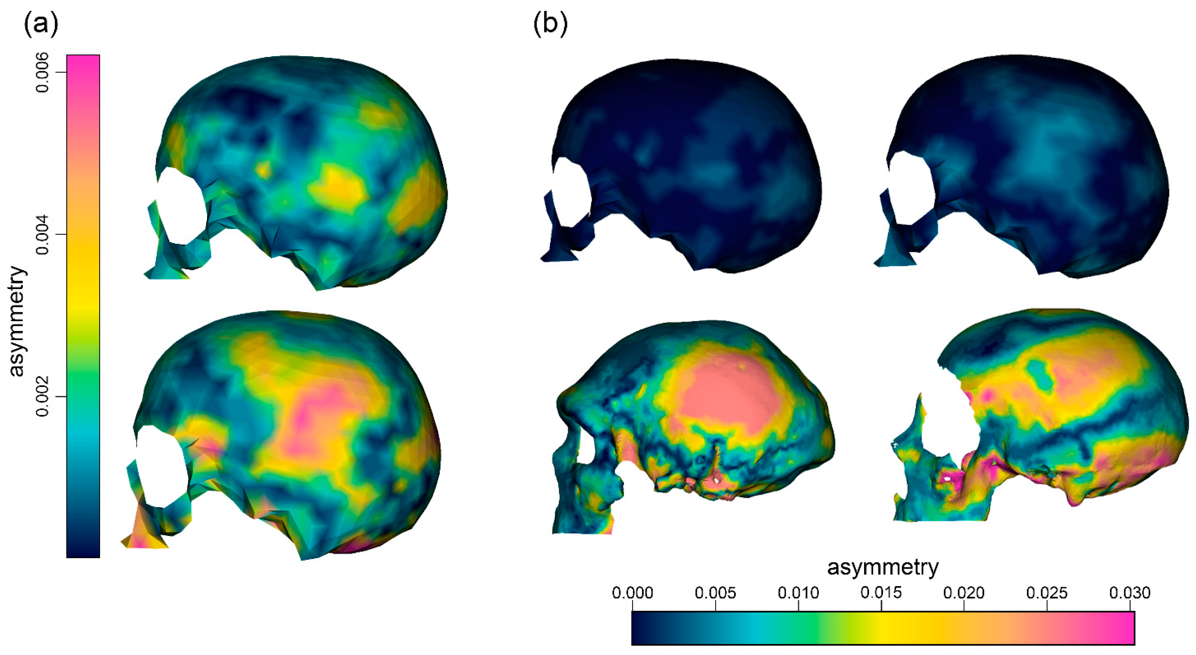 Symmetry 13 01644 g002