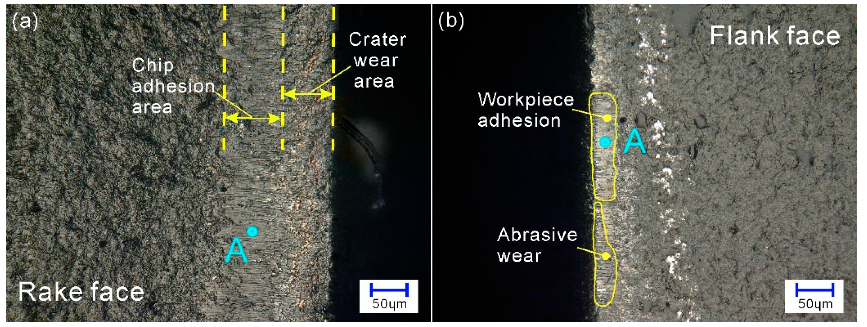 Symmetry 13 01679 g006