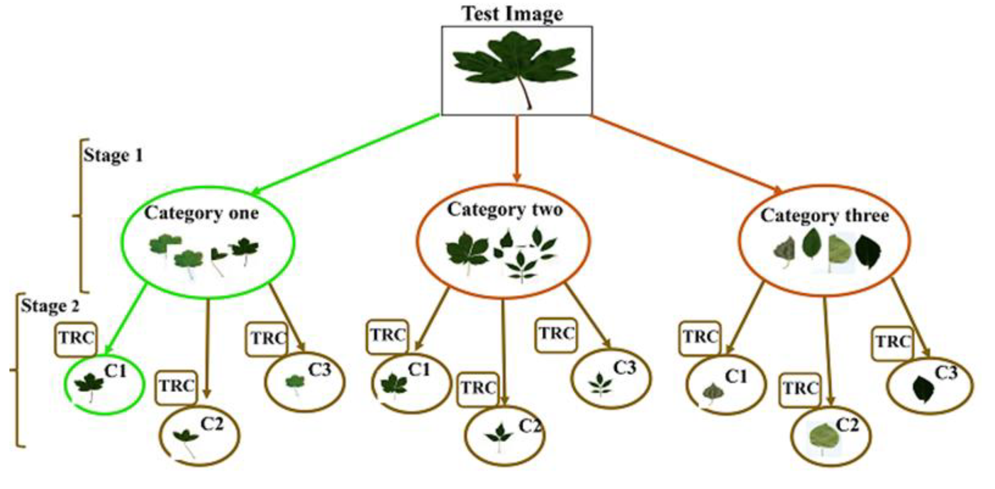 Symmetry 13 01705 g001