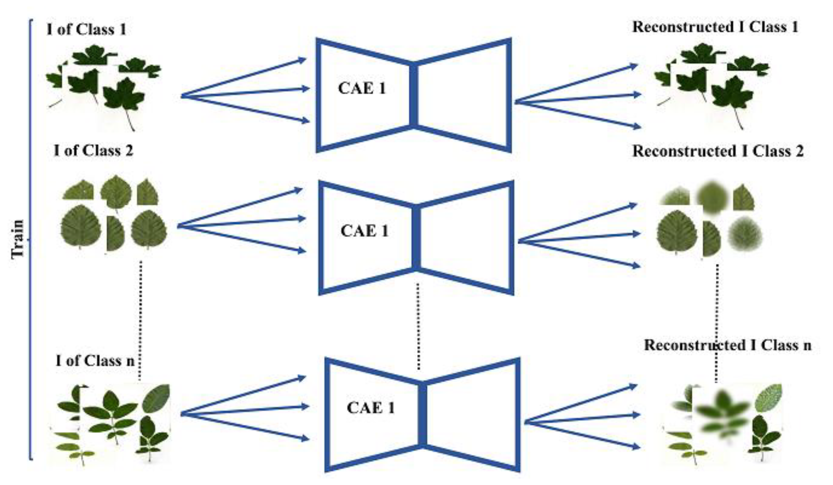 Symmetry 13 01705 g002