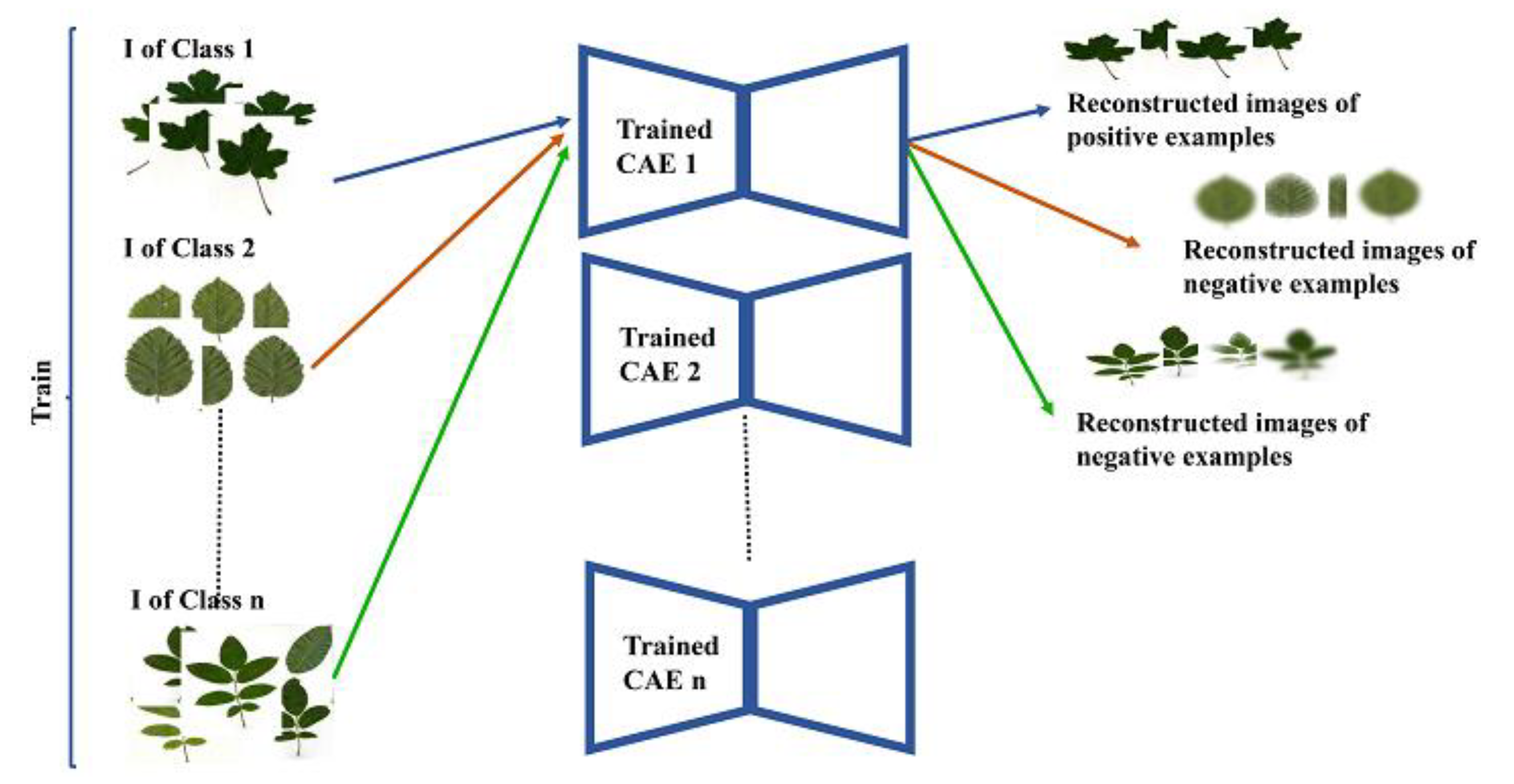 Symmetry 13 01705 g003
