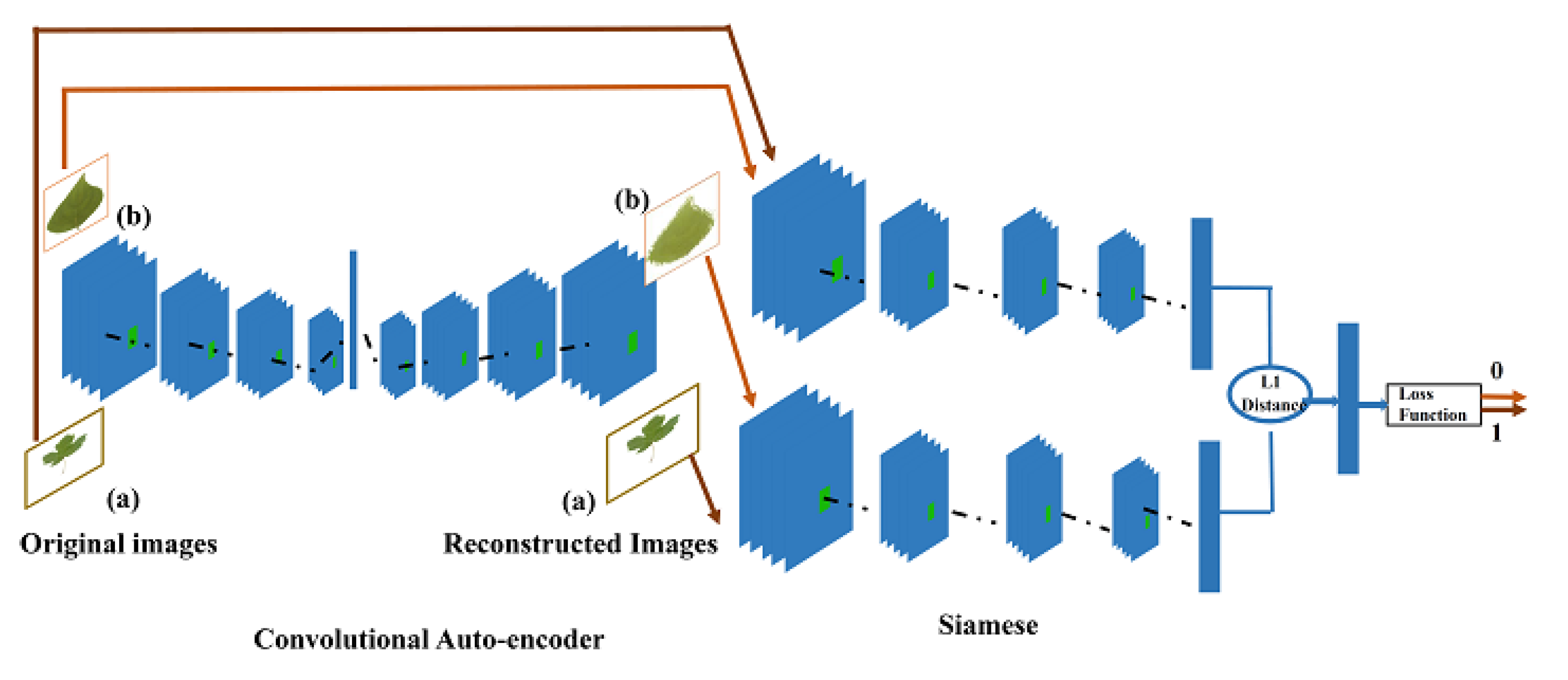 Symmetry 13 01705 g007