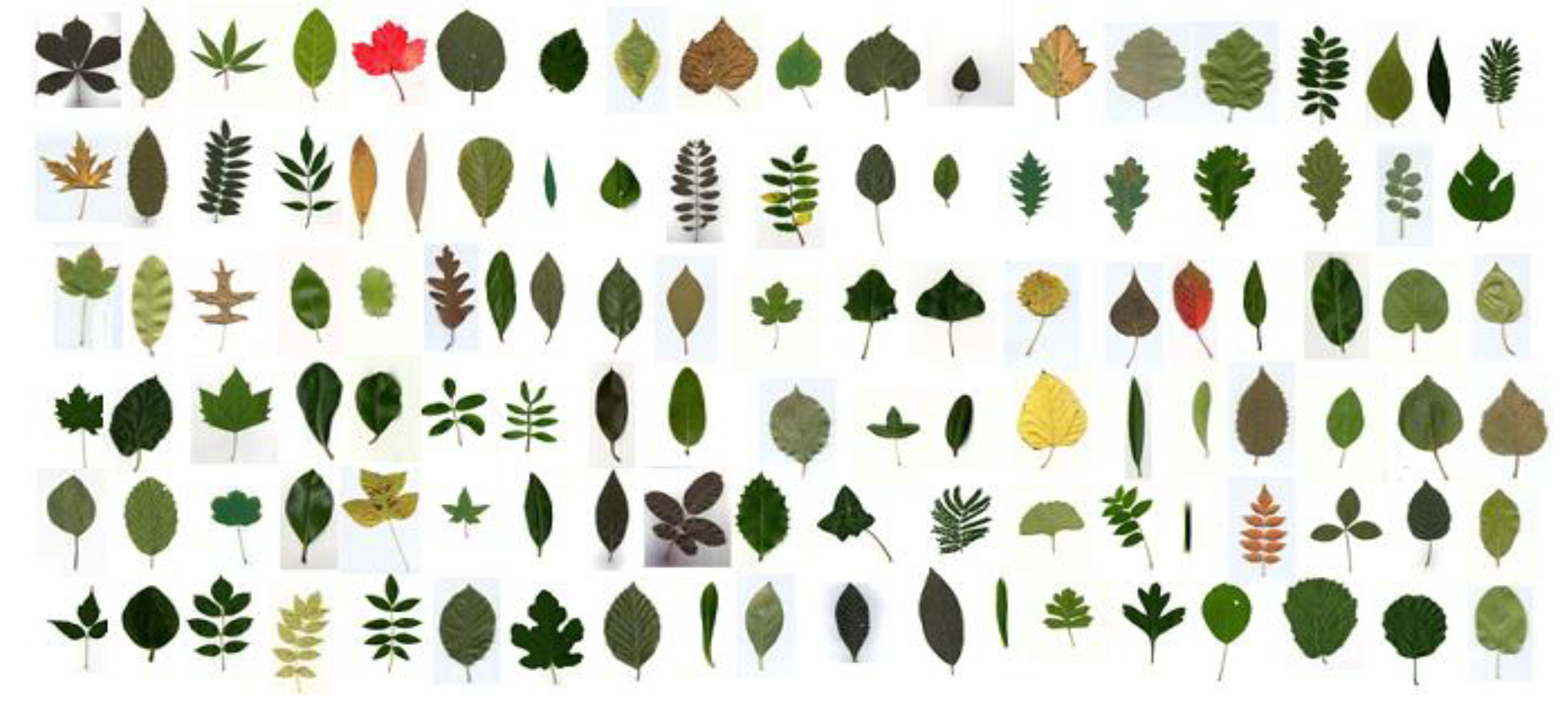 Symmetry 13 01705 g008