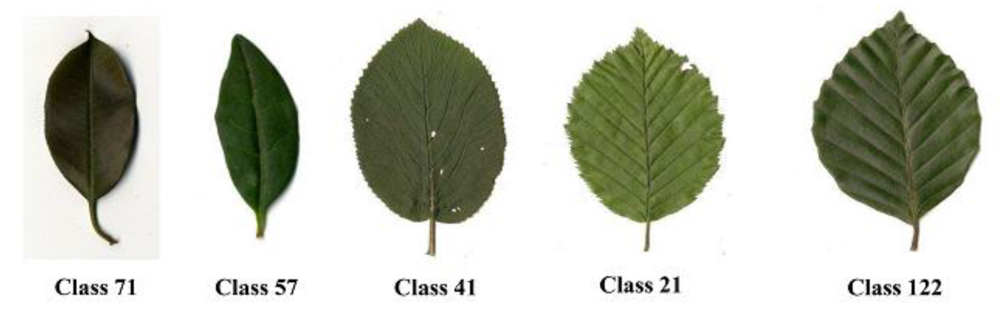 Symmetry 13 01705 g012