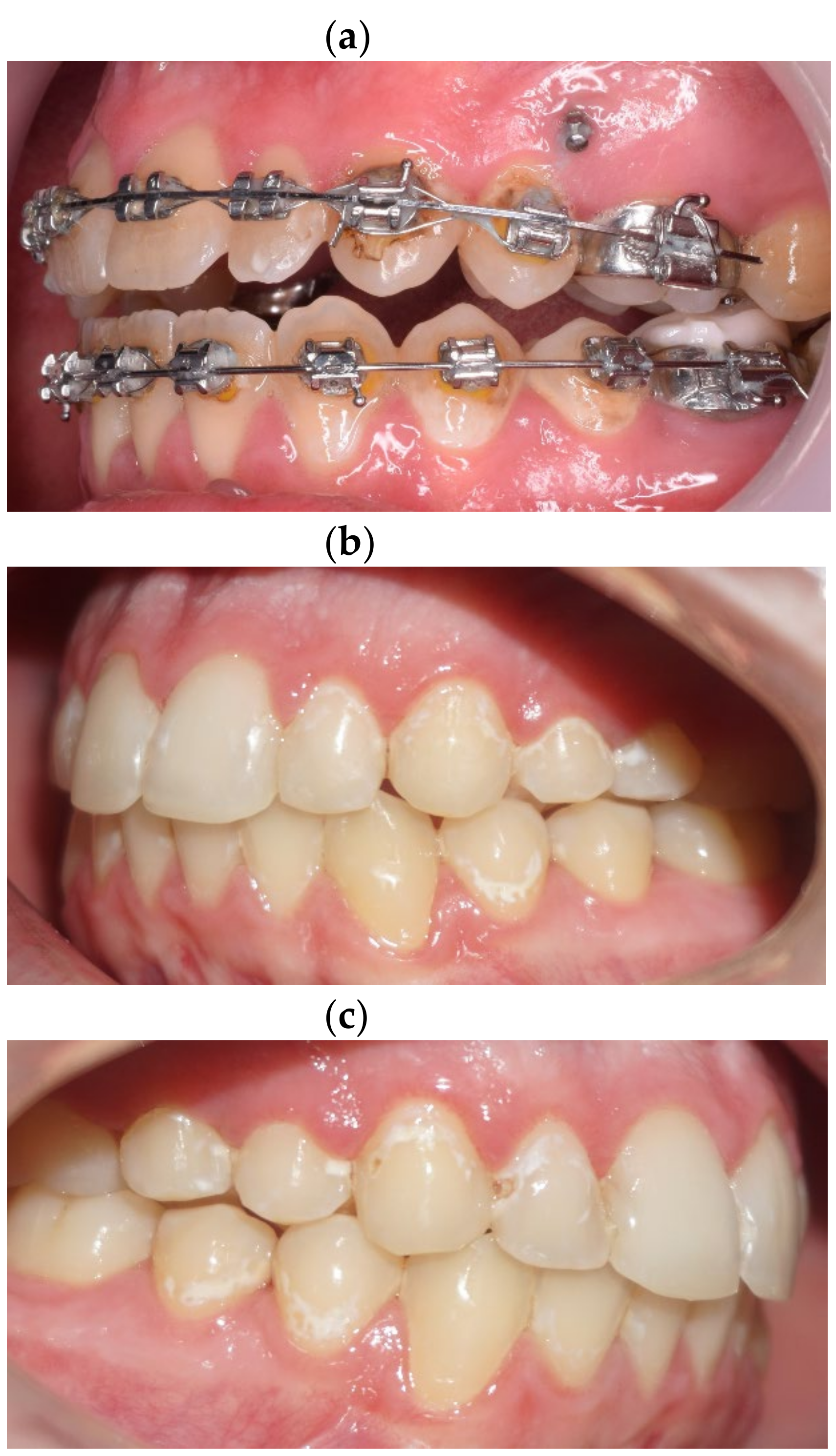 Symmetry 13 01734 g001