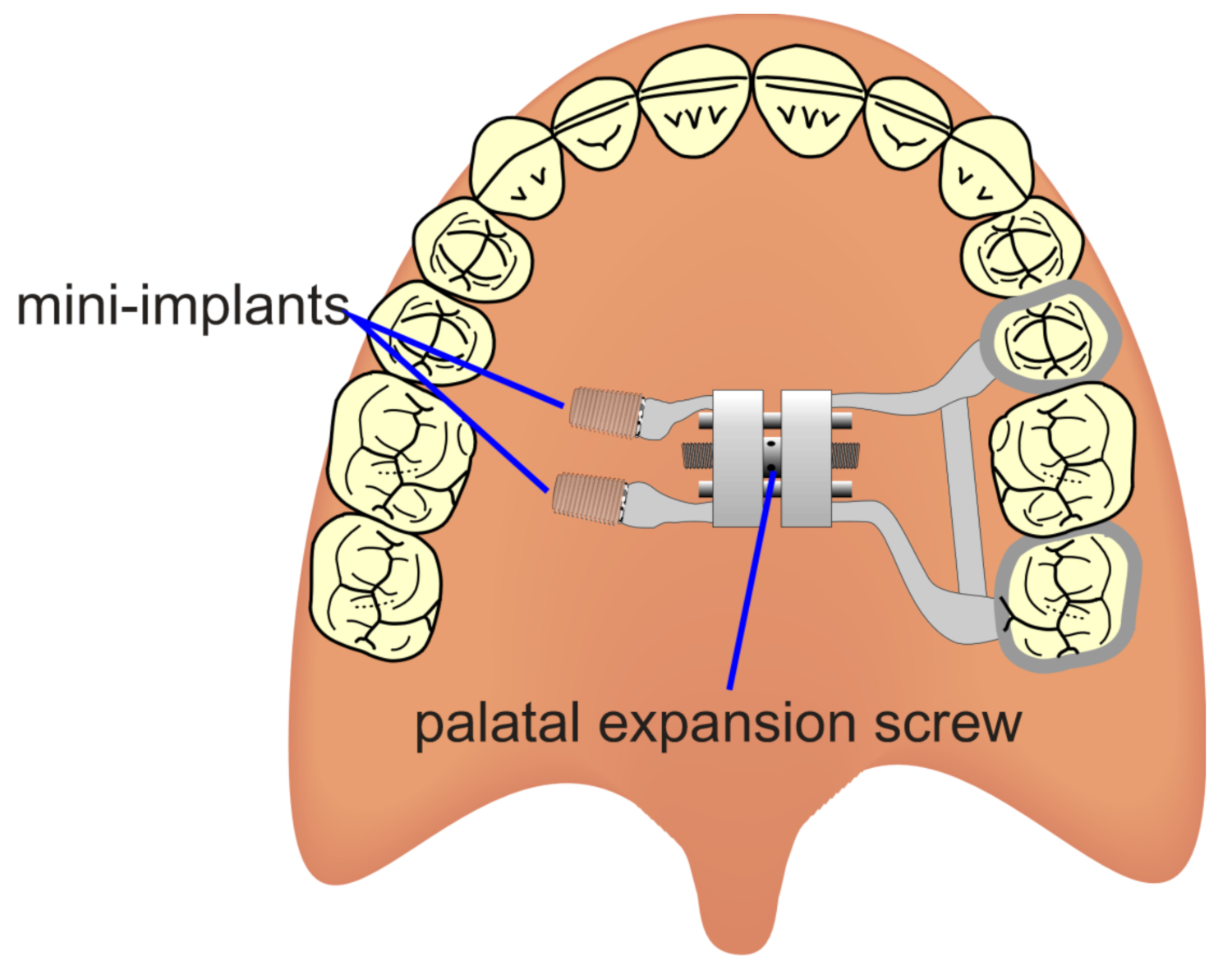 Symmetry 13 01741 g007