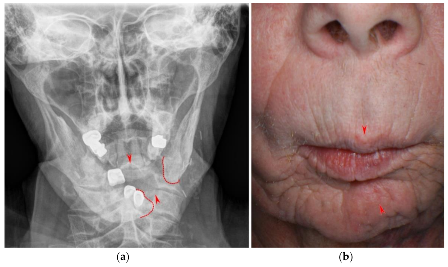 Symmetry 13 01741 g008